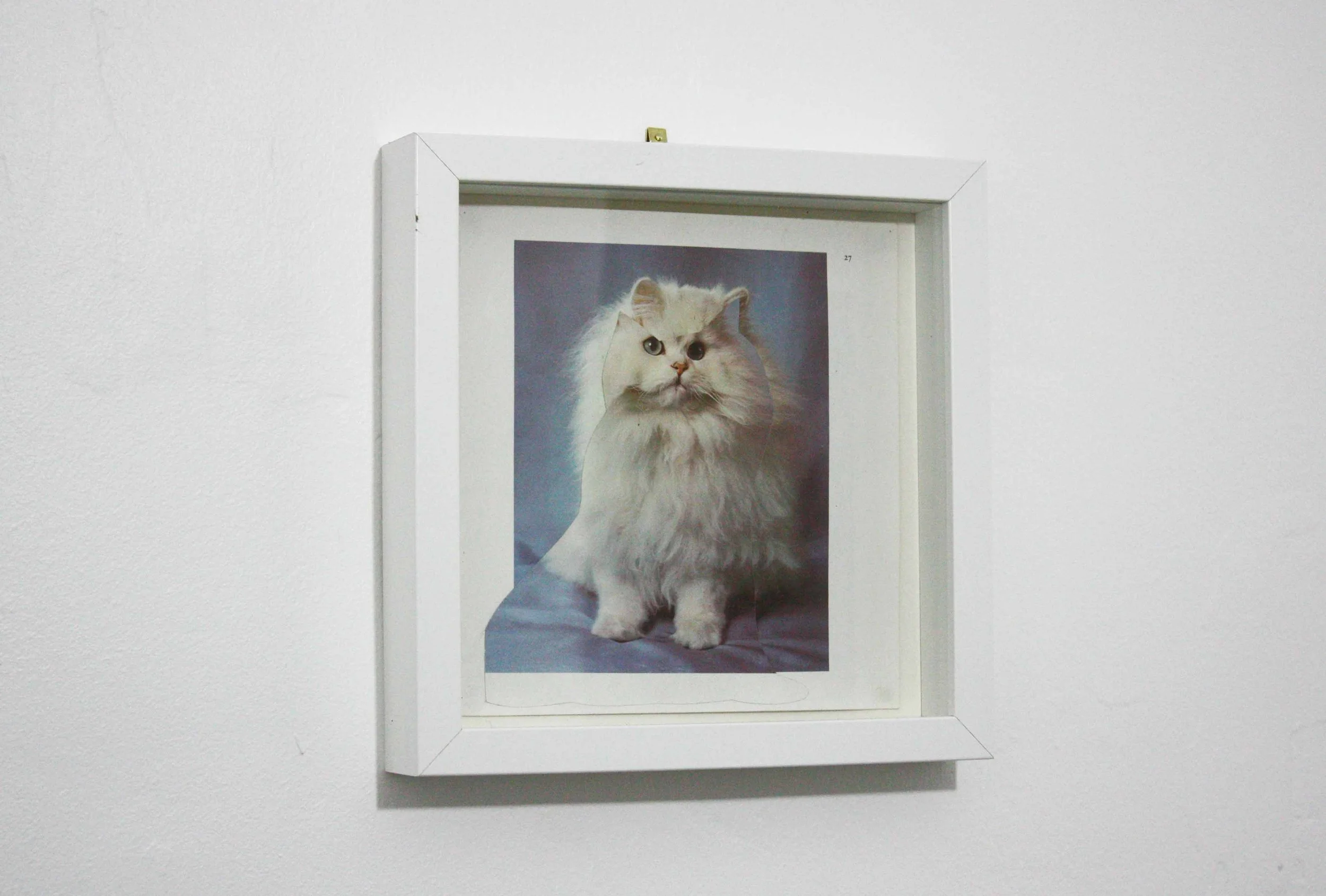 Seeing Double (4).jpg