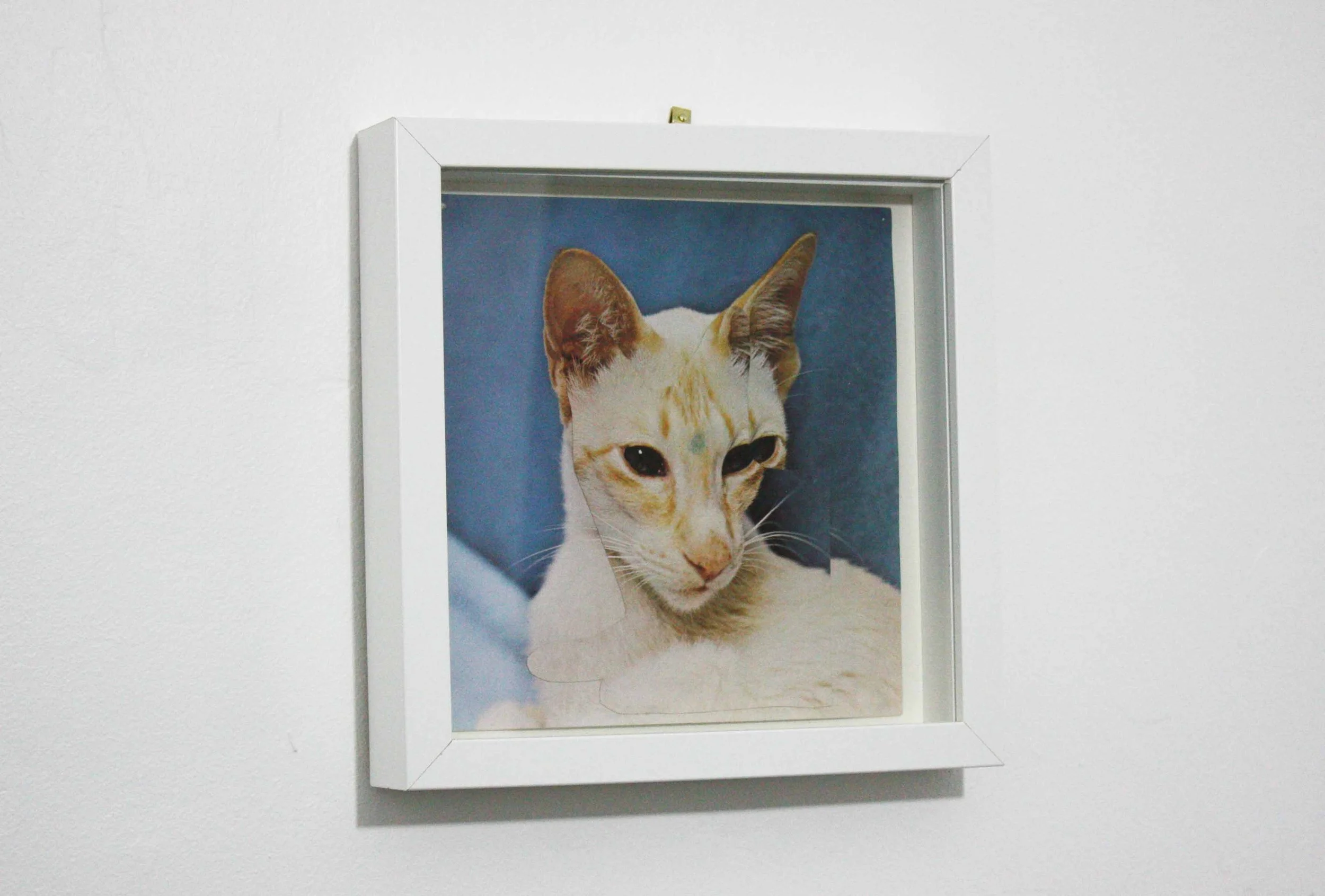 Seeing Double (2).jpg