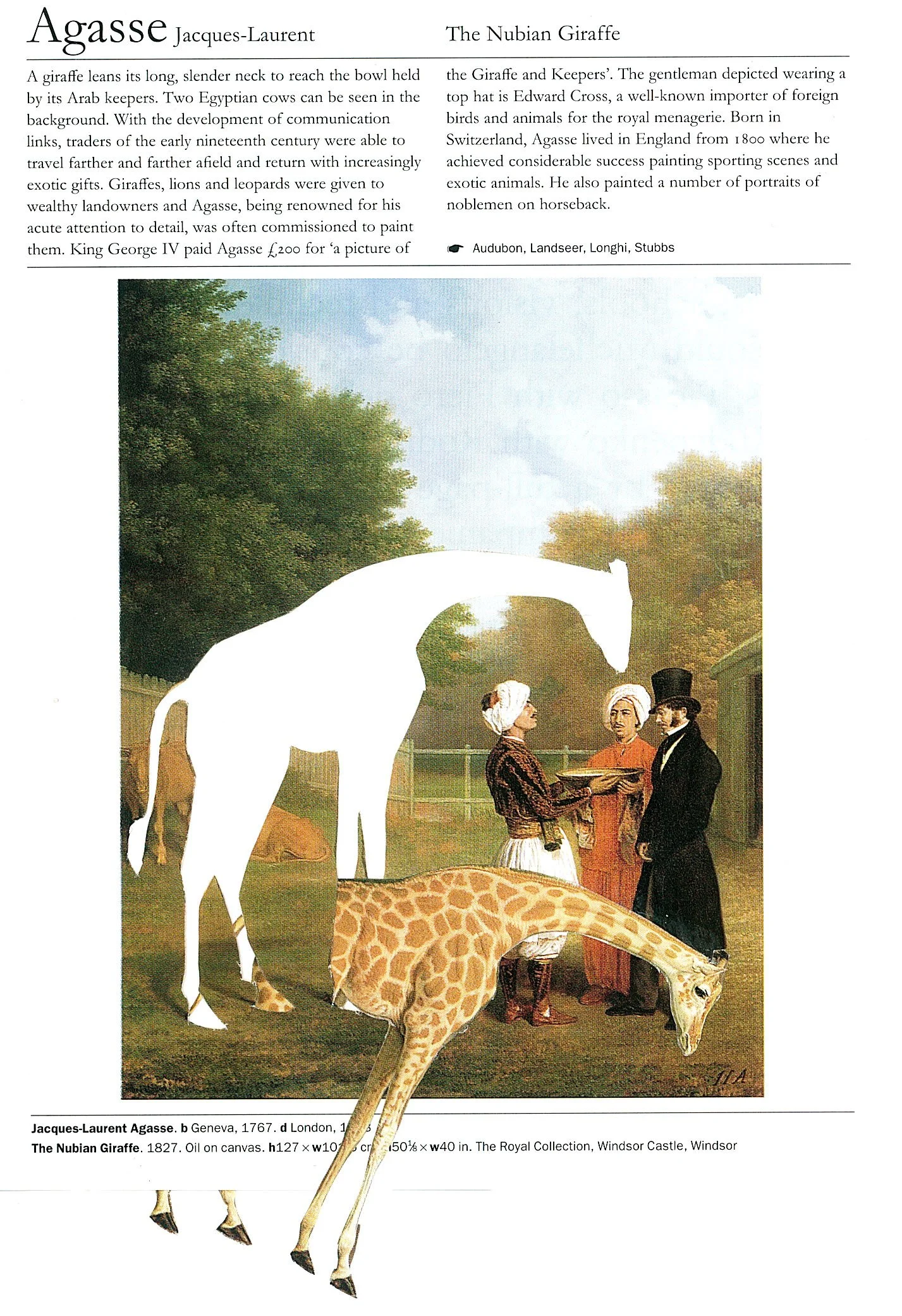 The Art Book: Revised Edition