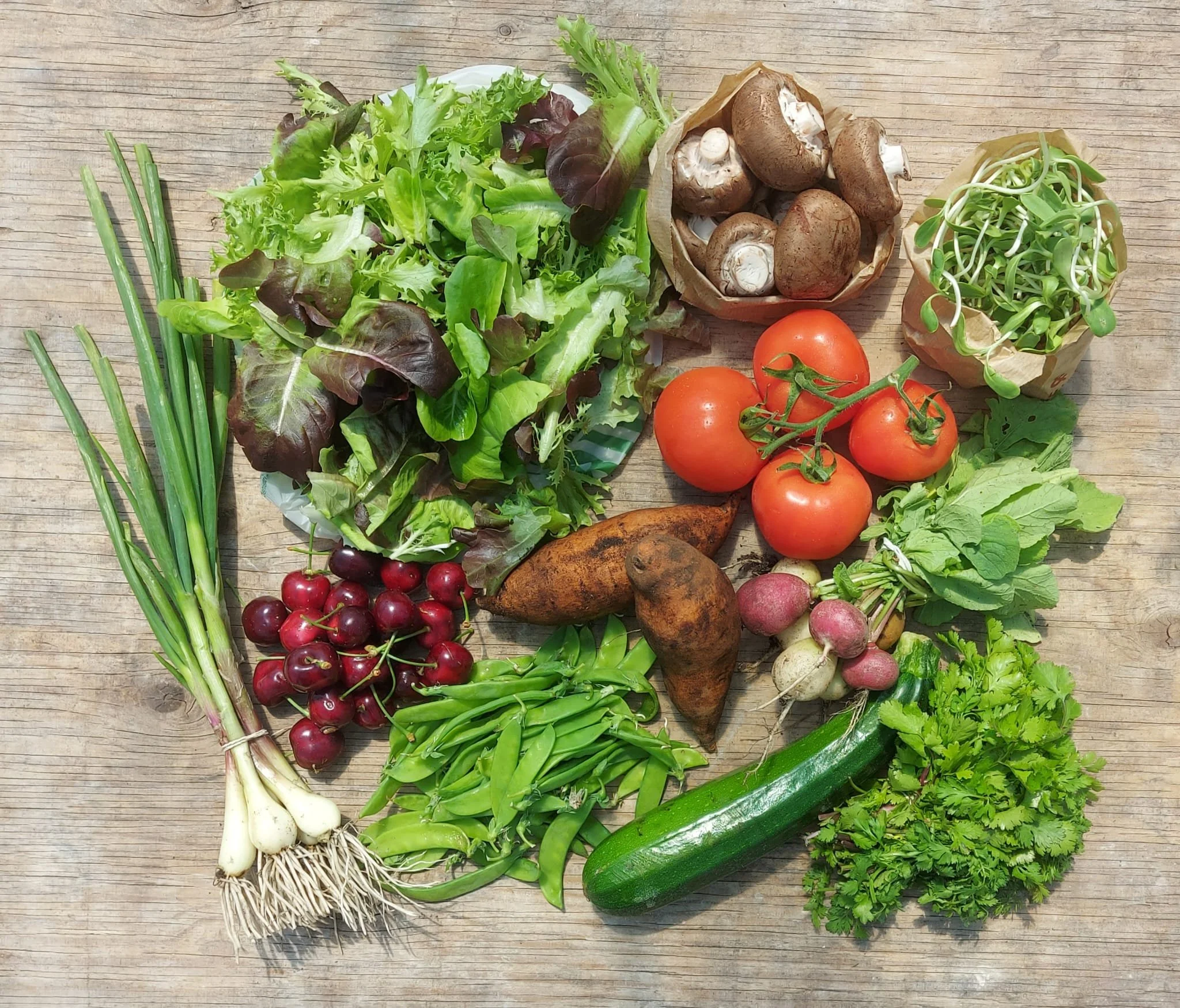 Veggie box newsletters