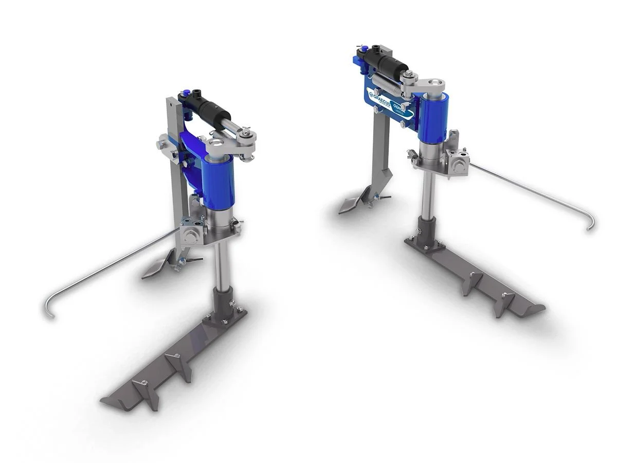 Graecus Chimera Lama 36