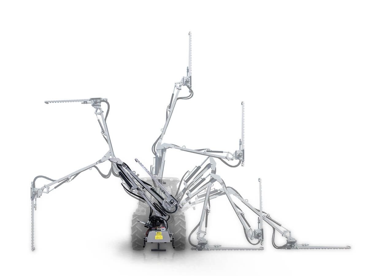 WhatsApp Image 2026-02-25 at 9.49.19 AM (4).jpeg