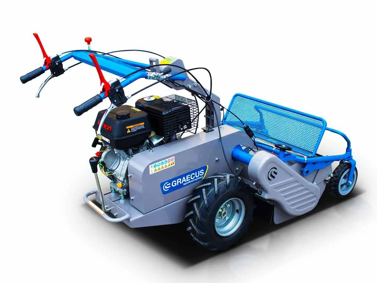 WhatsApp Image 2026-02-25 at 9.28.06 AM (4).jpeg