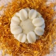 Cora's Calendula Organic Lotion Bars