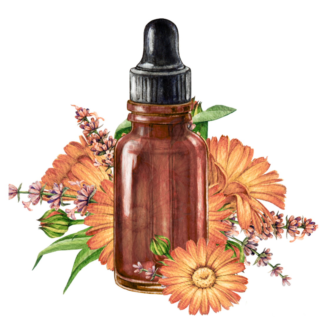 Cora's Calendula LLC