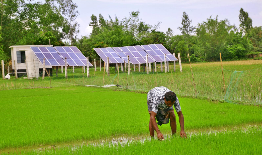 Humanising the Economy