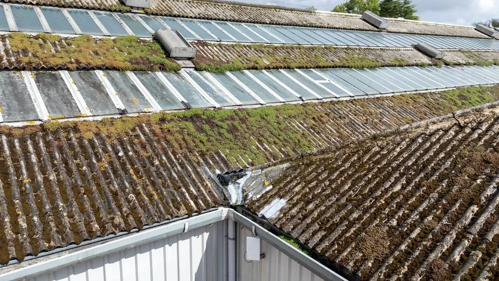 Moss and dirt cover old roof panels—ideal for a condition-report-survey-photographer capturing industrial decay and corrosion.