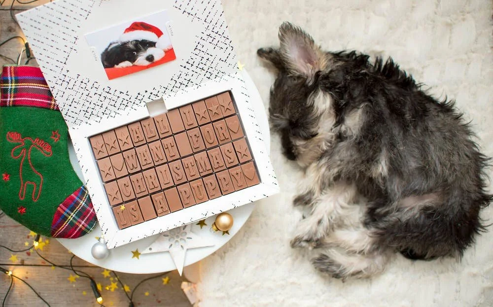 Product photography of a box of chocolate words reading all i want for christmas is a puppy, a small sleeping schnauzer puppy laying on a rug below.