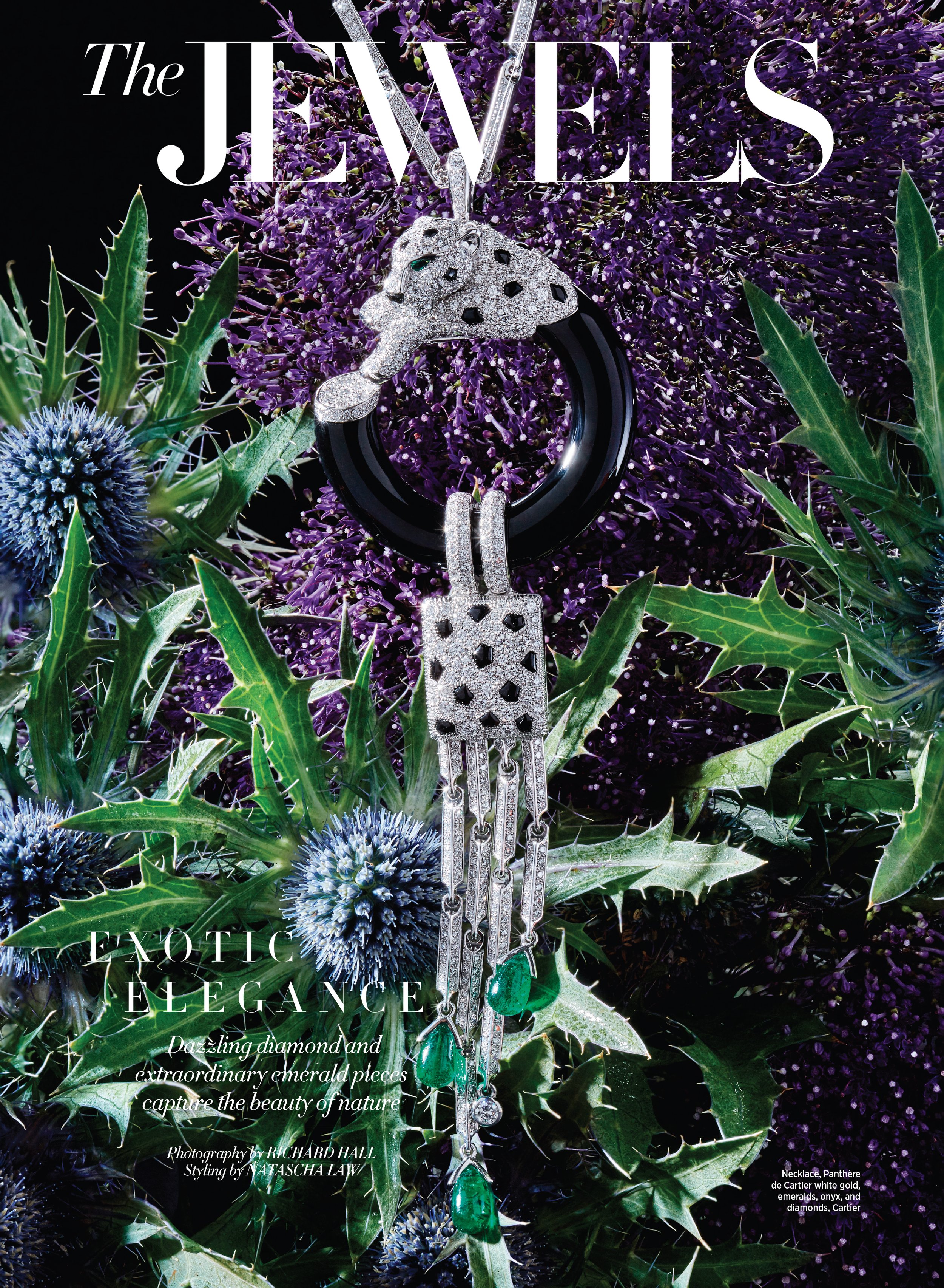 022_8079147 copy.jpg