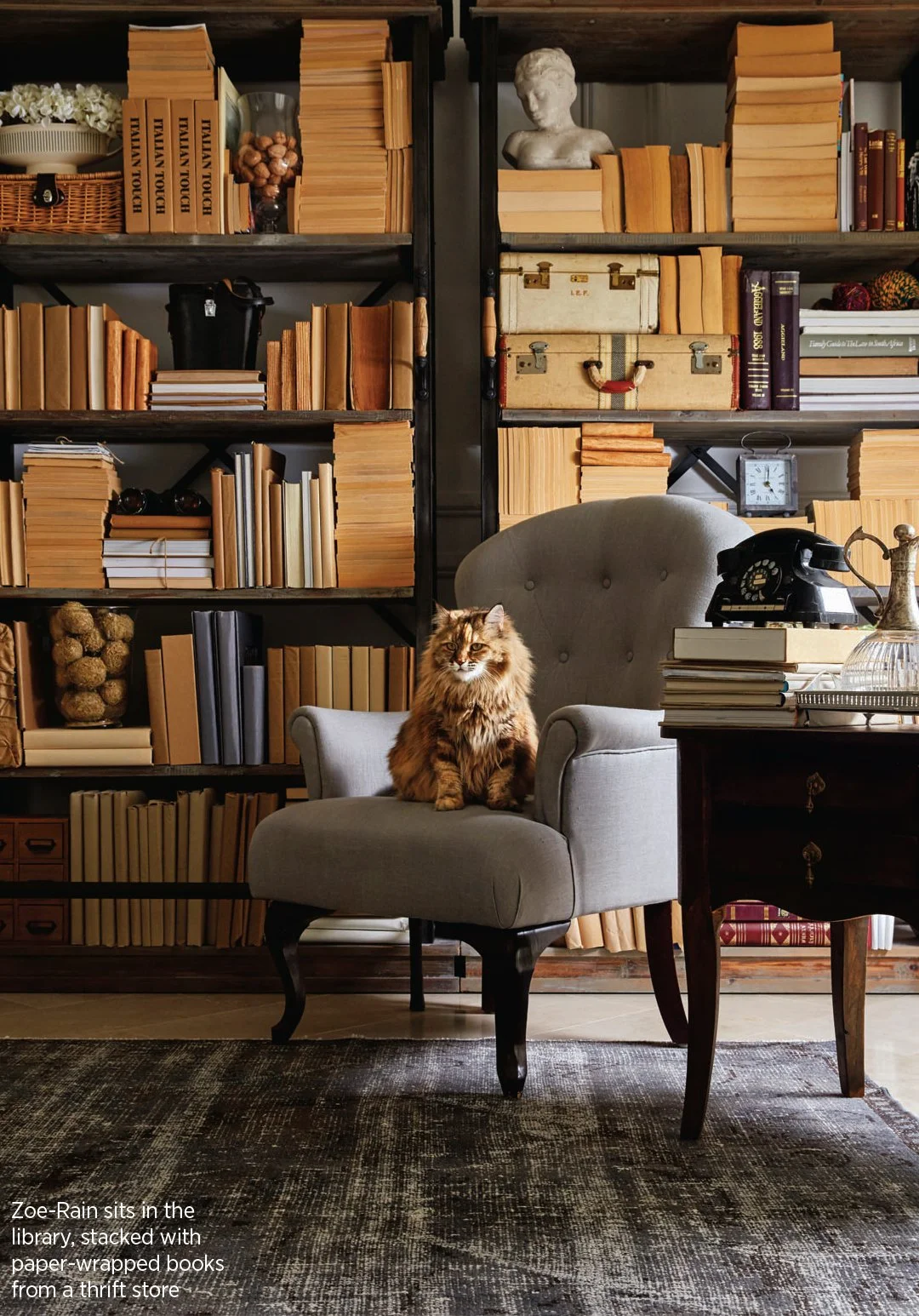 074_6569743 copy.jpg