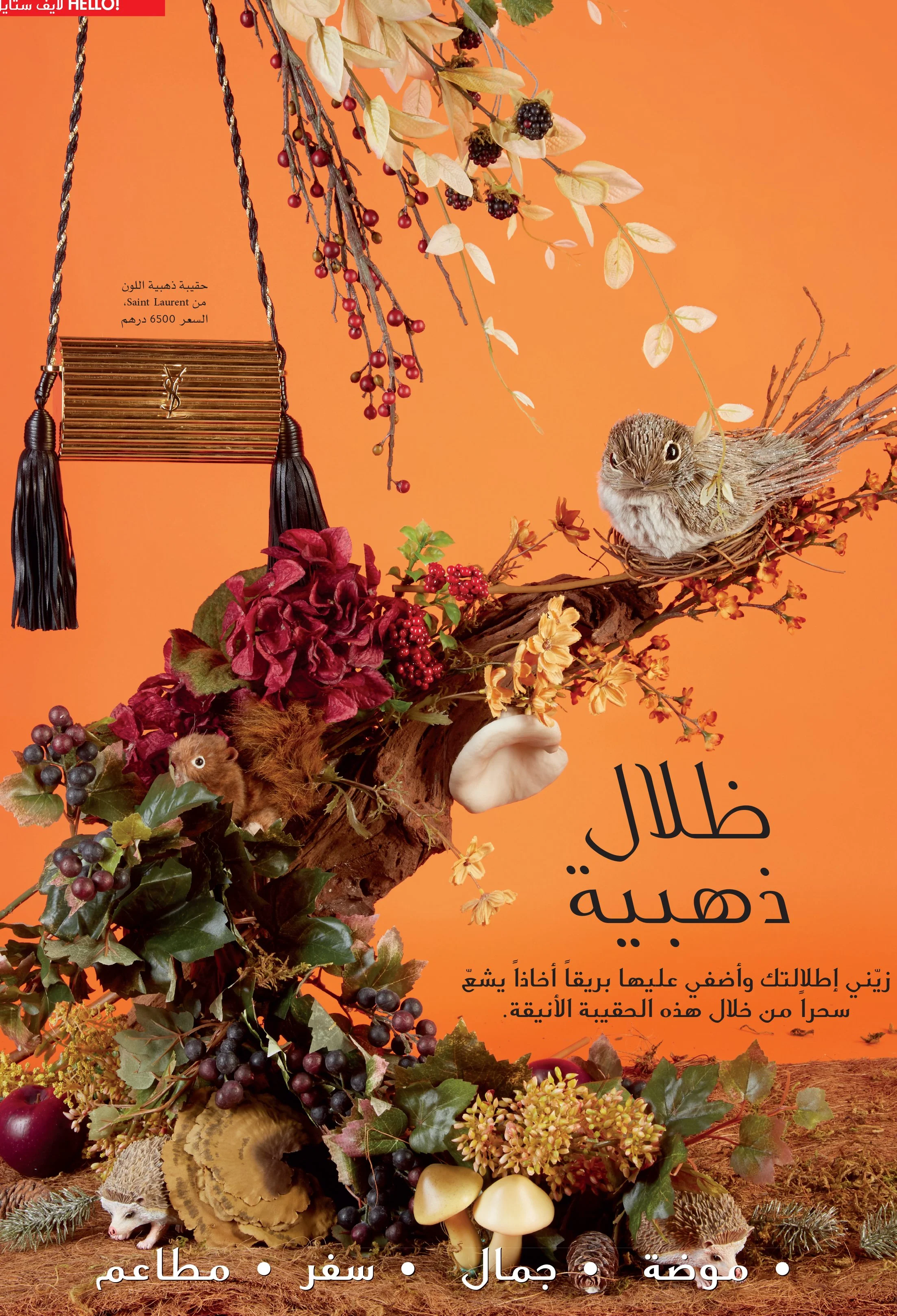 103_HELOAR_September2016_103_Lifestyle_Opener_7995591 copy.jpg