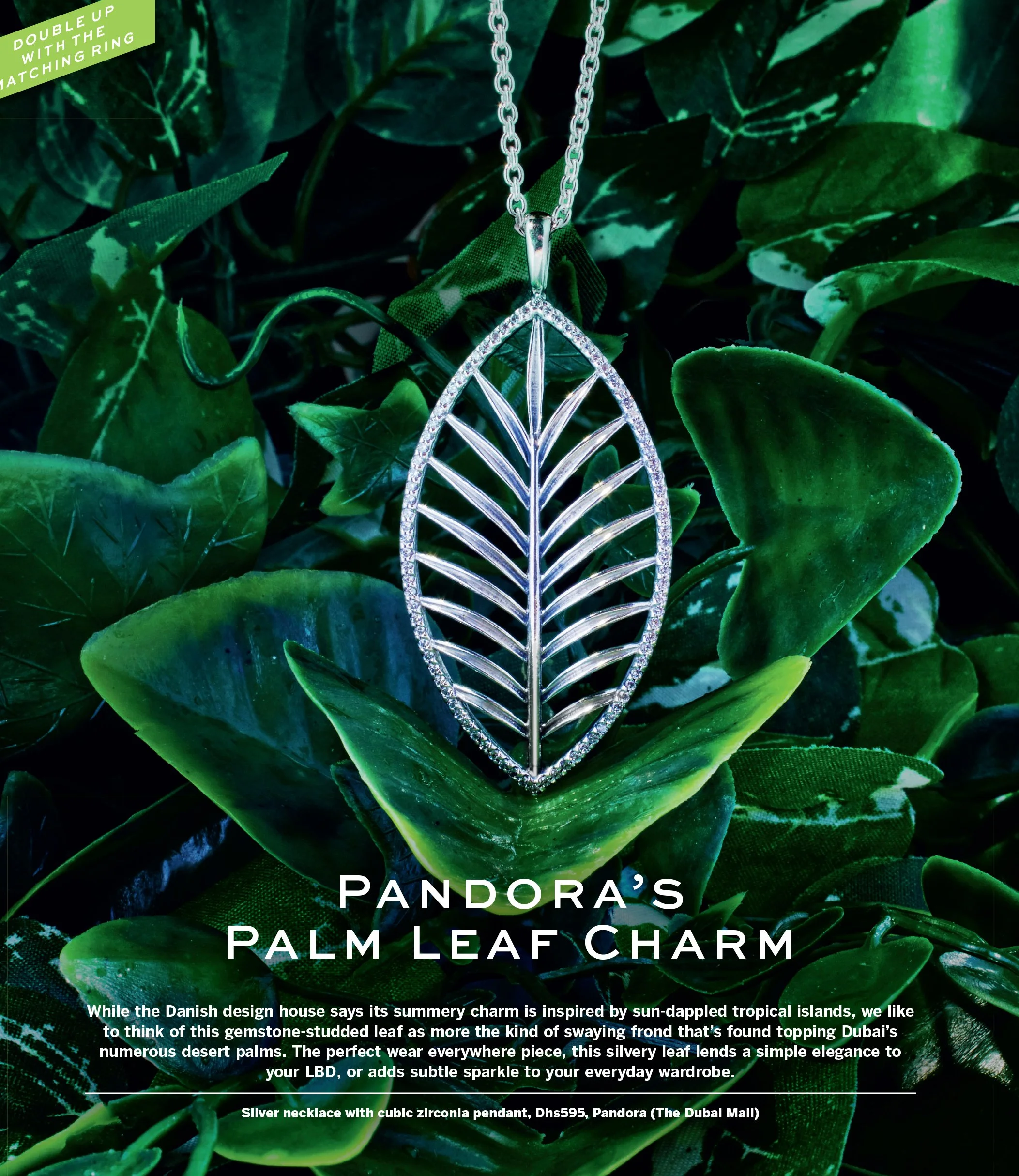 017_SA_037_5738245 copy.jpg