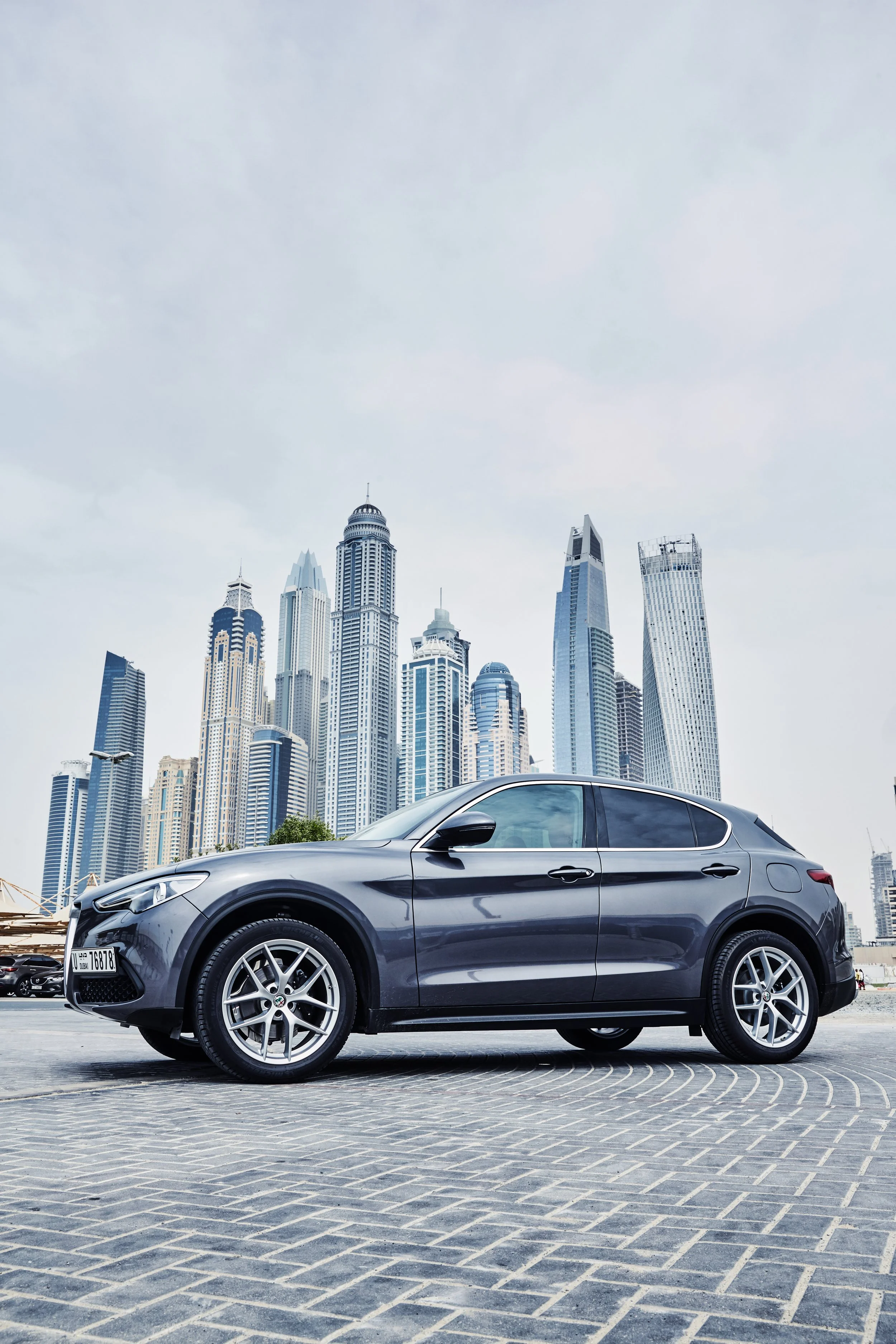 alpha  (98) copy_9761303.jpg