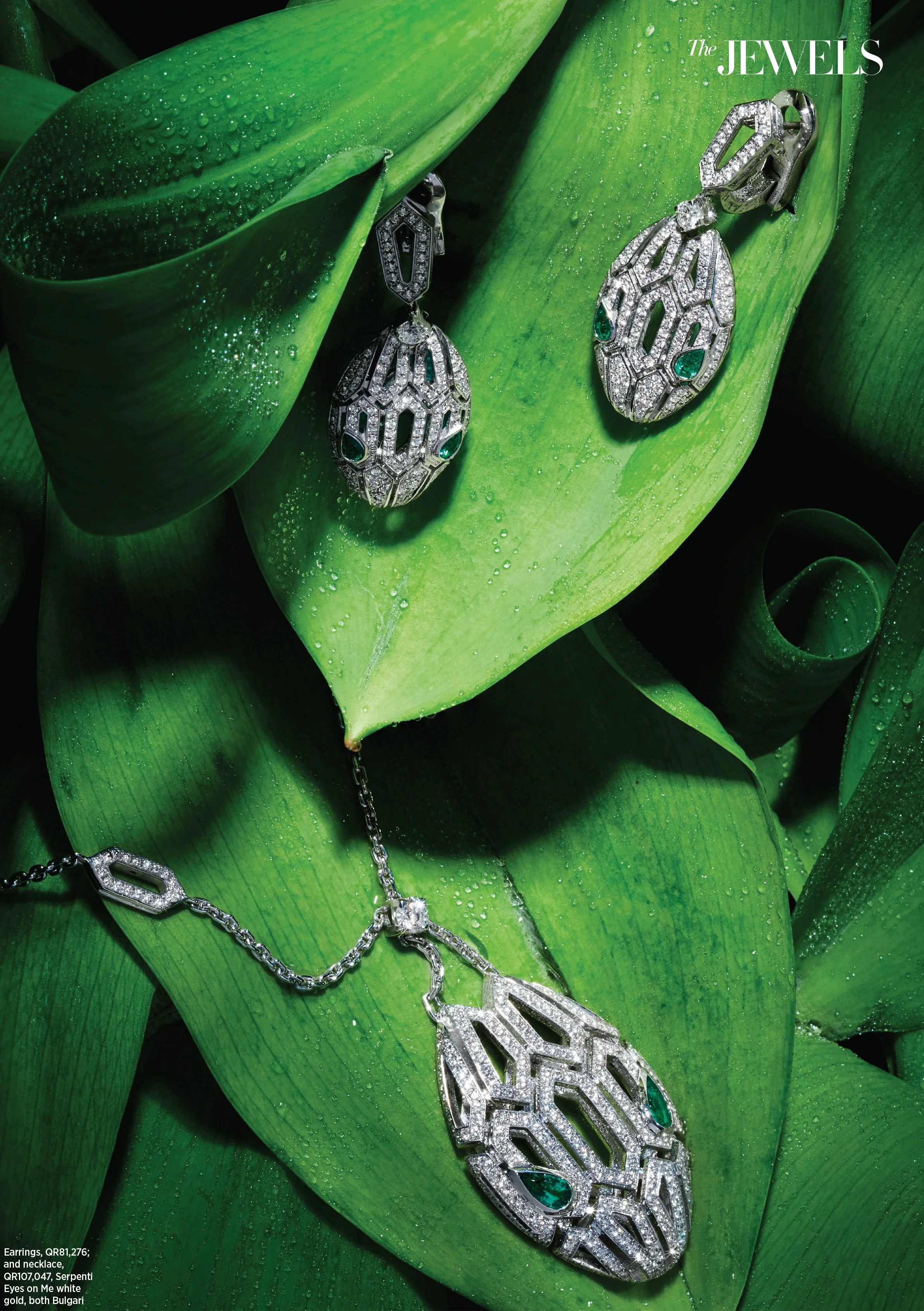 023_8079147 copy.jpg