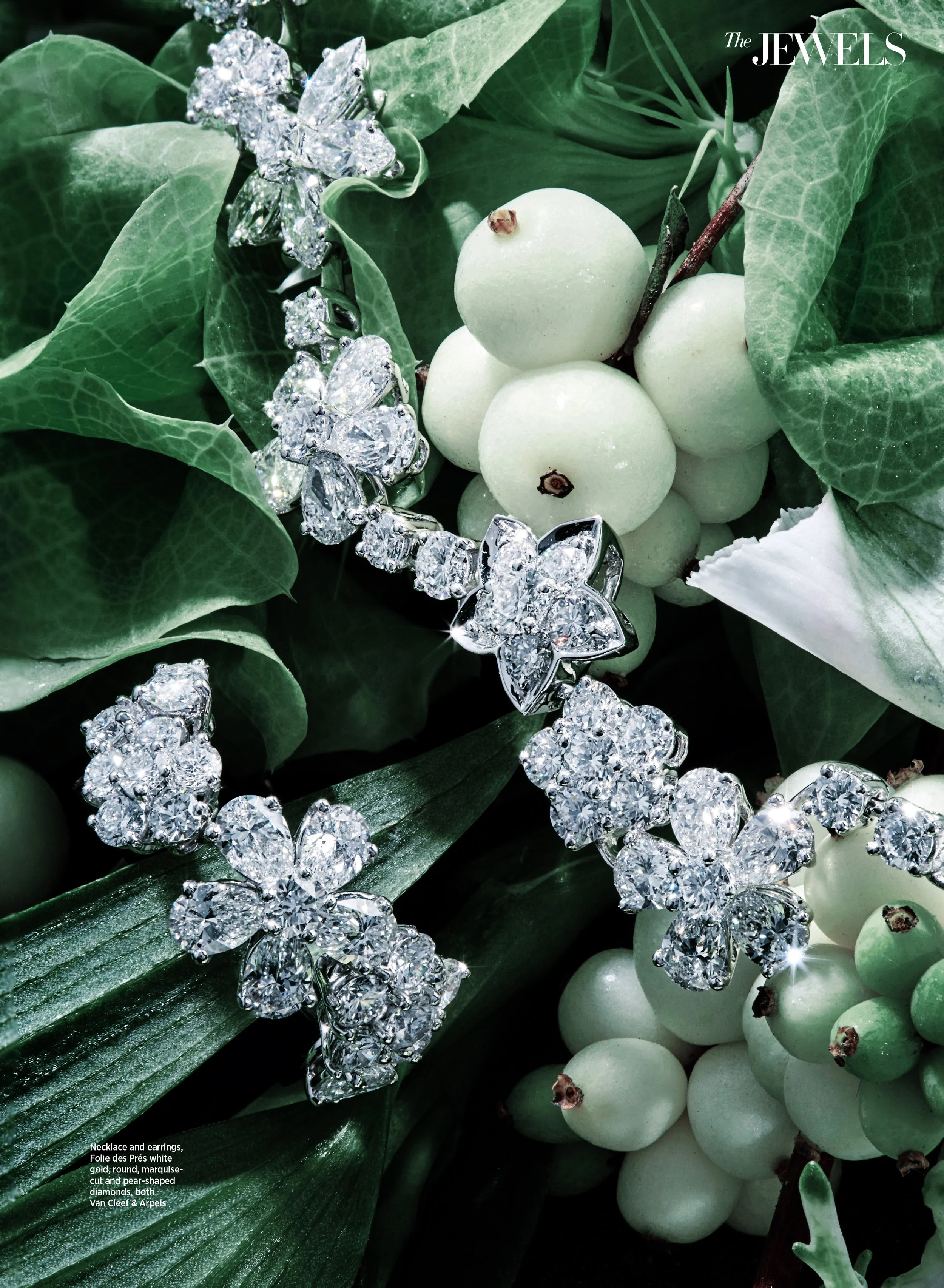 025_8079147 copy.jpg