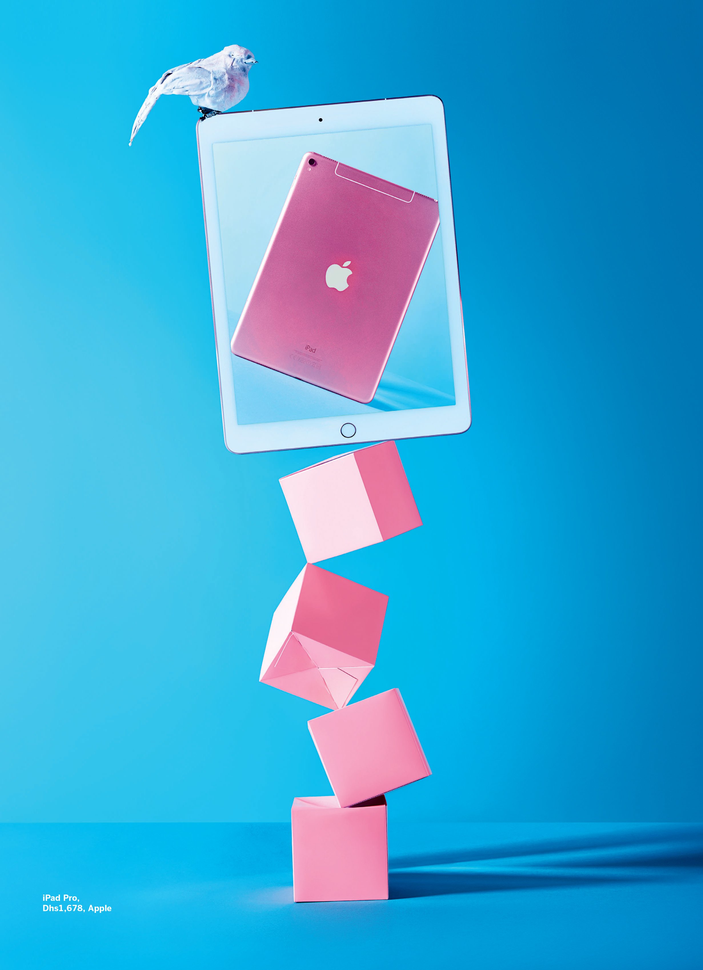 029_SA_081_7641063 copy.jpg