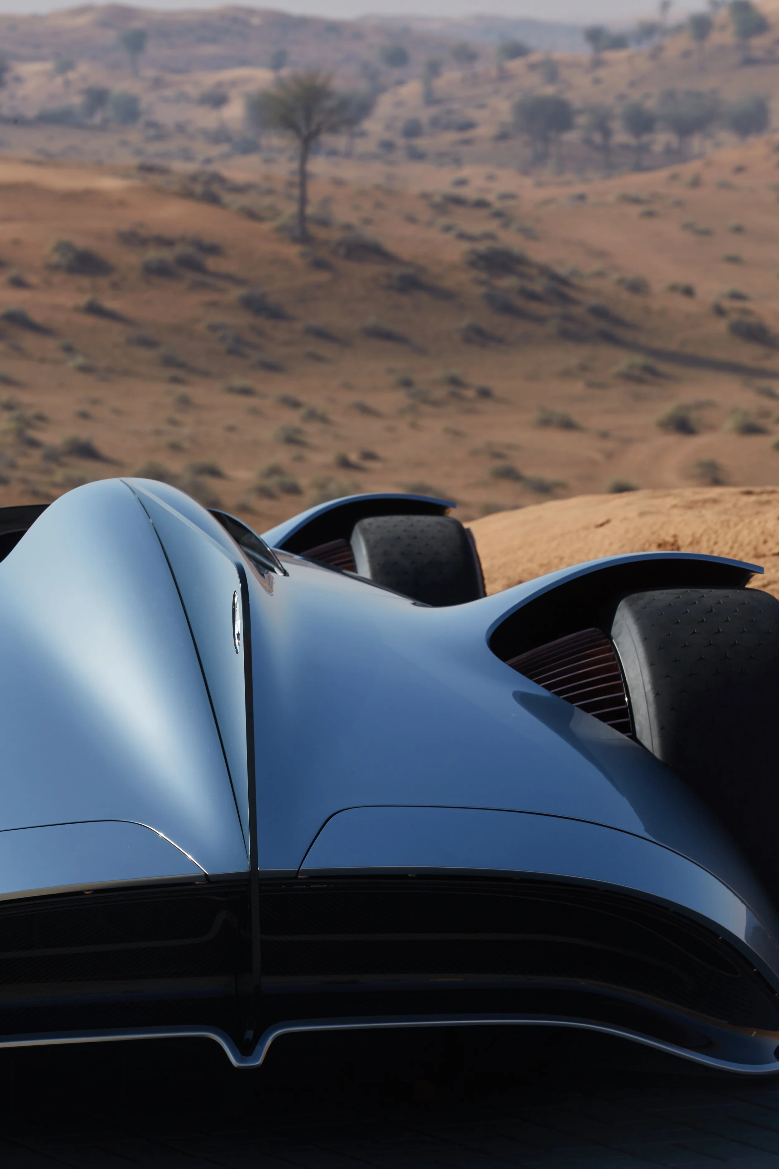 IMAGE (115)_10254457.jpg