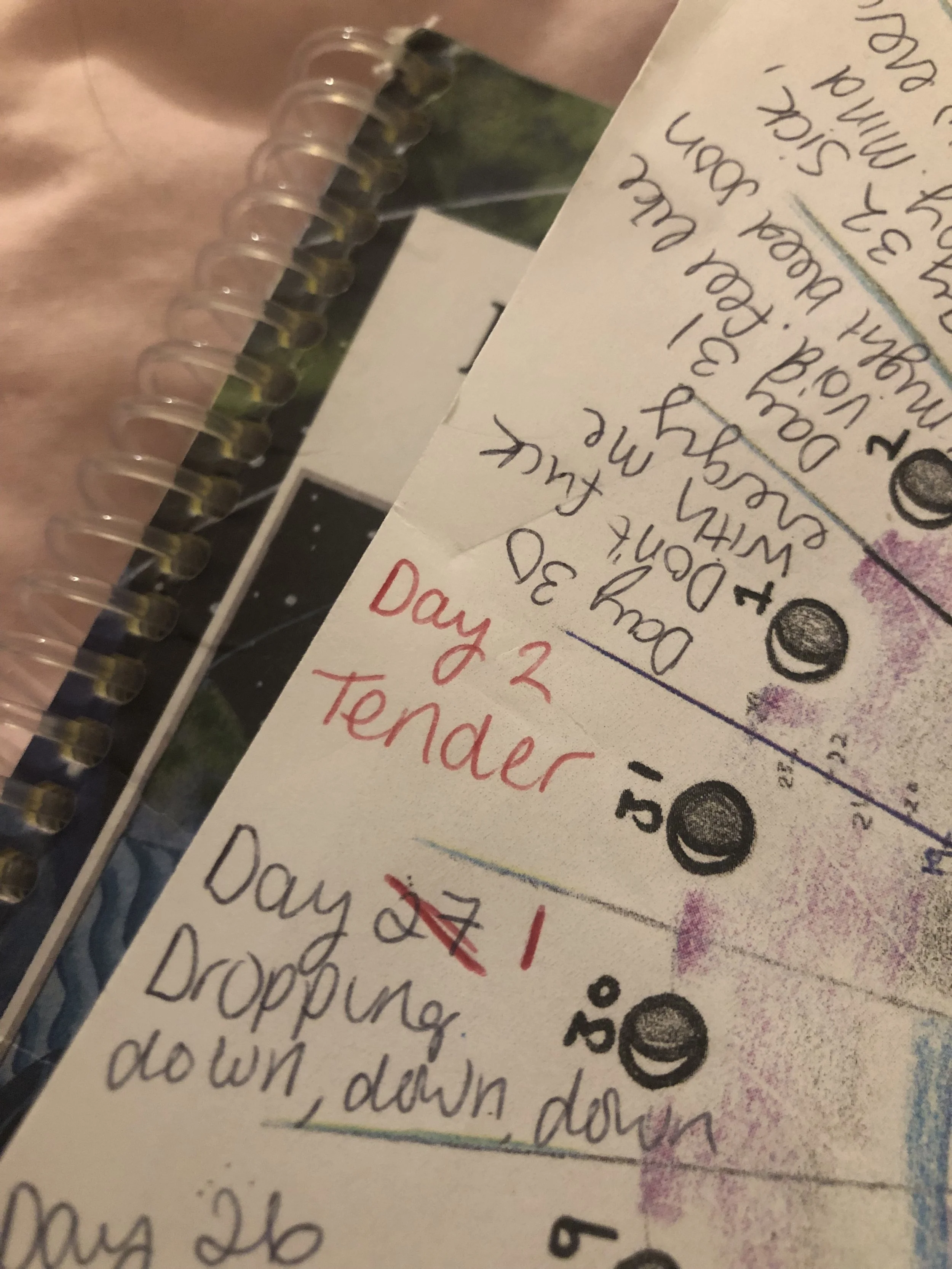 Close-up of a handwritten daily planner or schedule showing days 2 and 27, with notes and tasks written in black, red, and blue ink, and a spiral-bound notebook underneath.