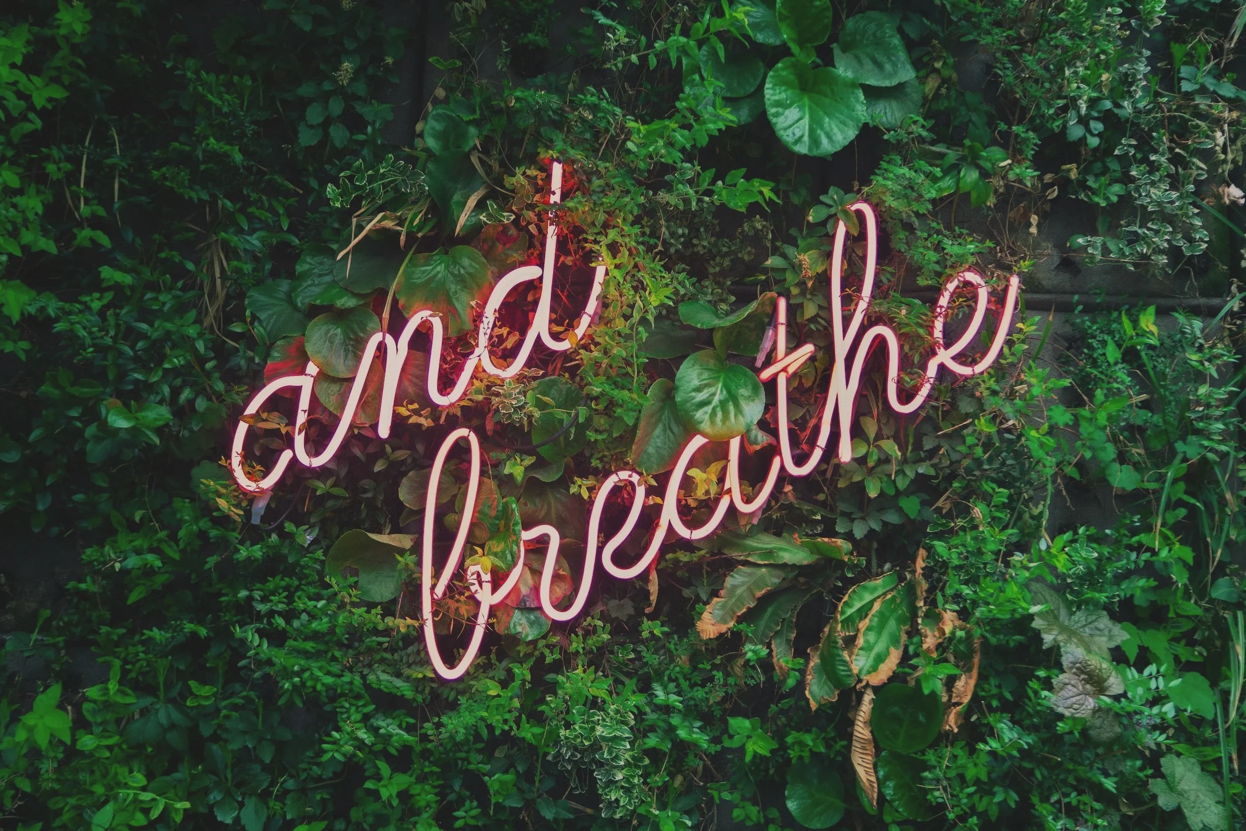 A neon pink sign that says 'and the' against a background of lush green foliage and plants.