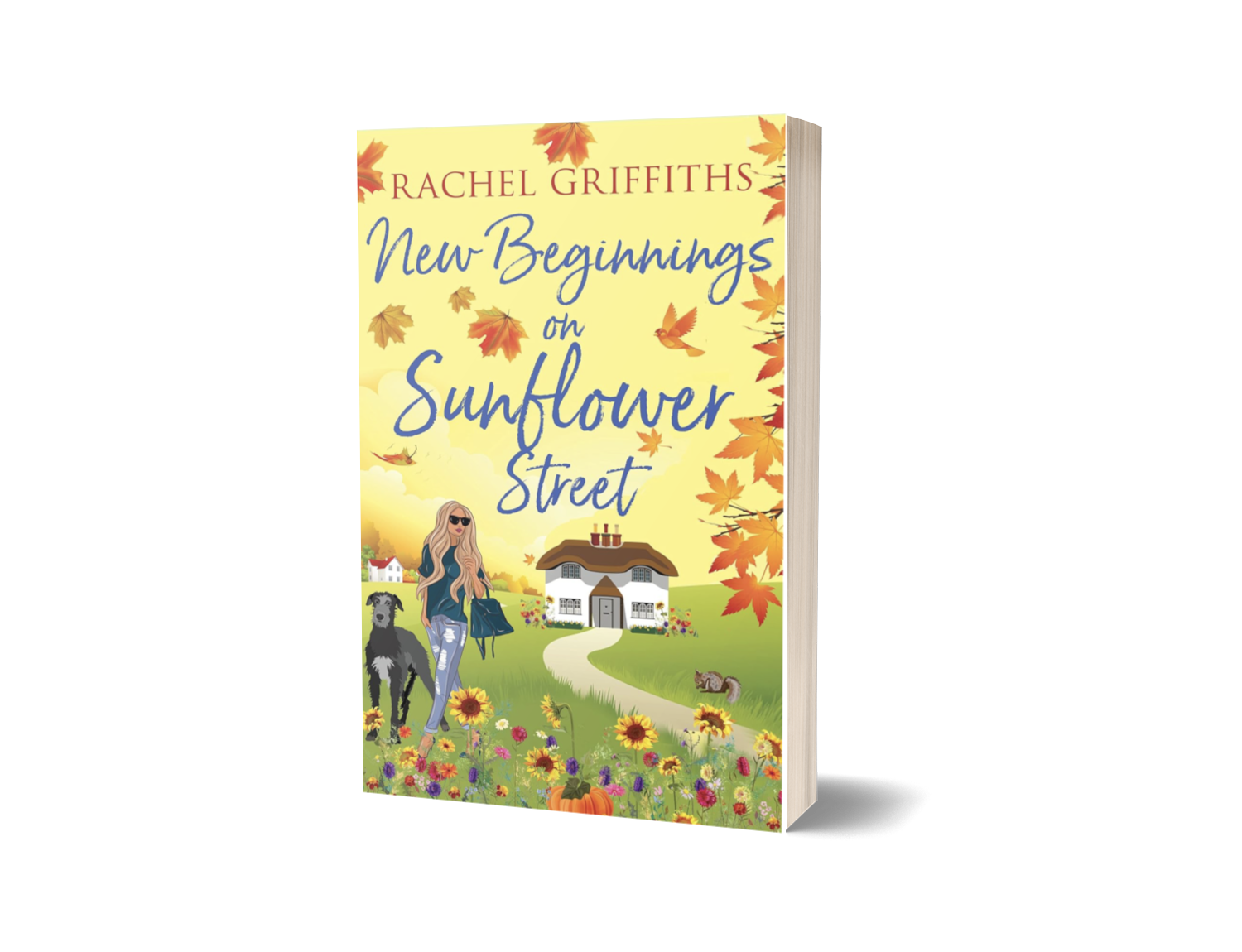 New Beginnings on Sunflower Street