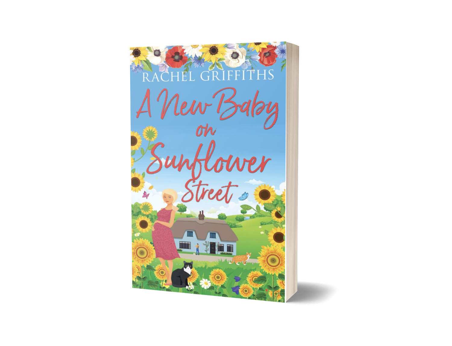 A New Baby on Sunflower Street