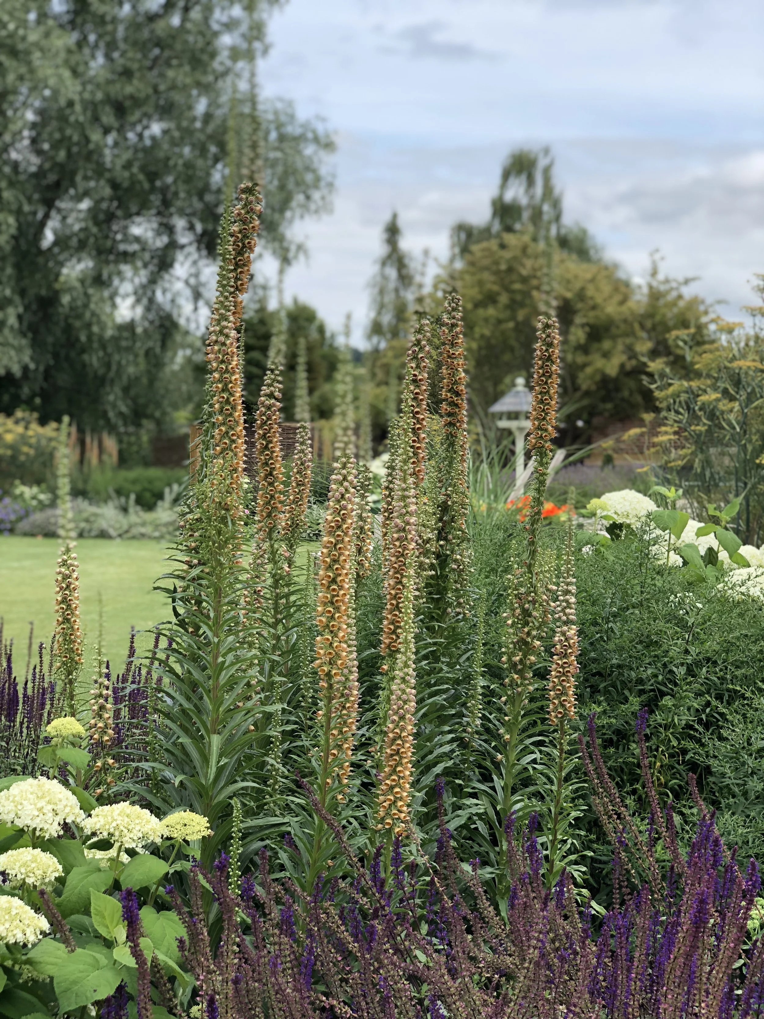 A garden with tall, orange and yellow flowers, surrounded by greenery and purple and white flowers, under a cloudy sky.