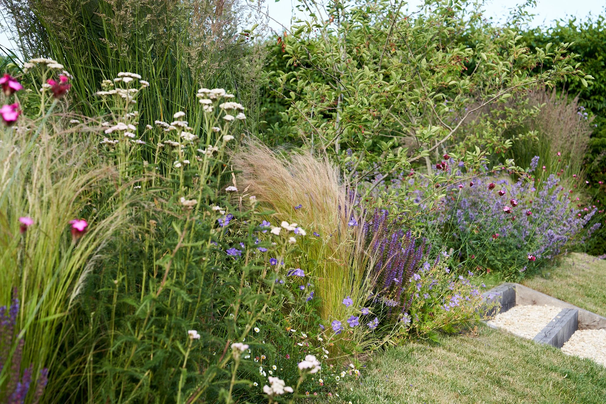 A lush garden border with tall grasses, colorful flowers, and a small tree, with a decorative stone and wood edging along a grassy lawn.