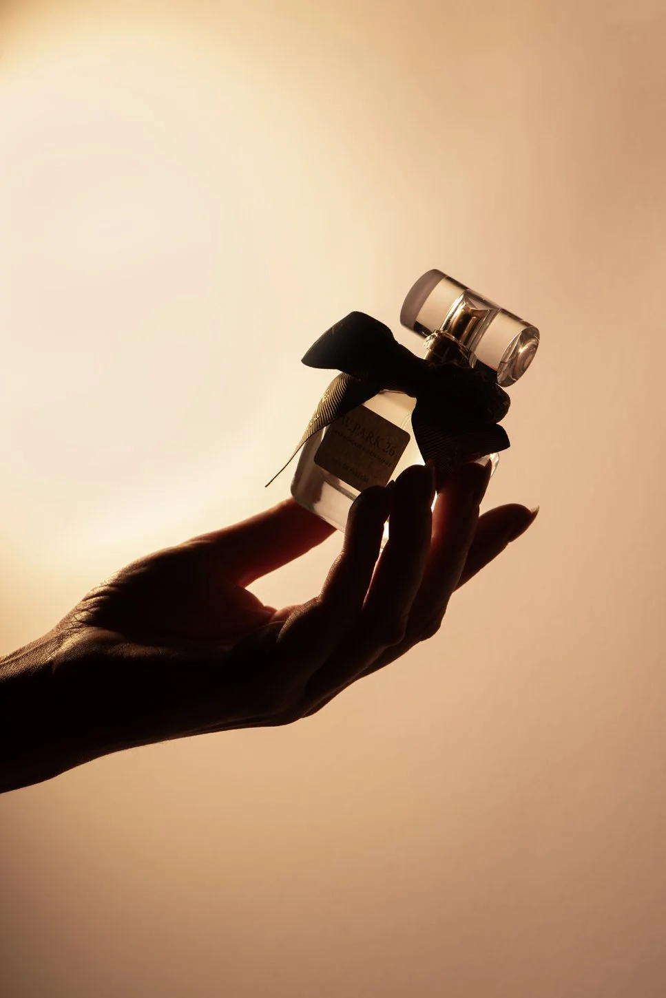 Donsje studio05529 - LR.jpg