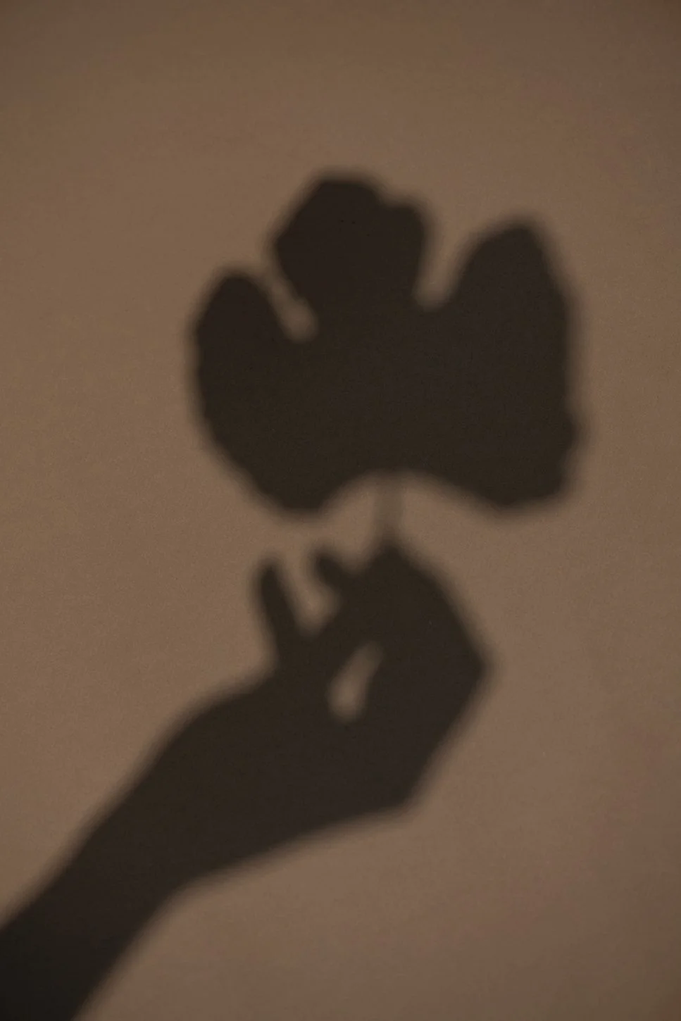 Donsje studio06013 - LR.jpg