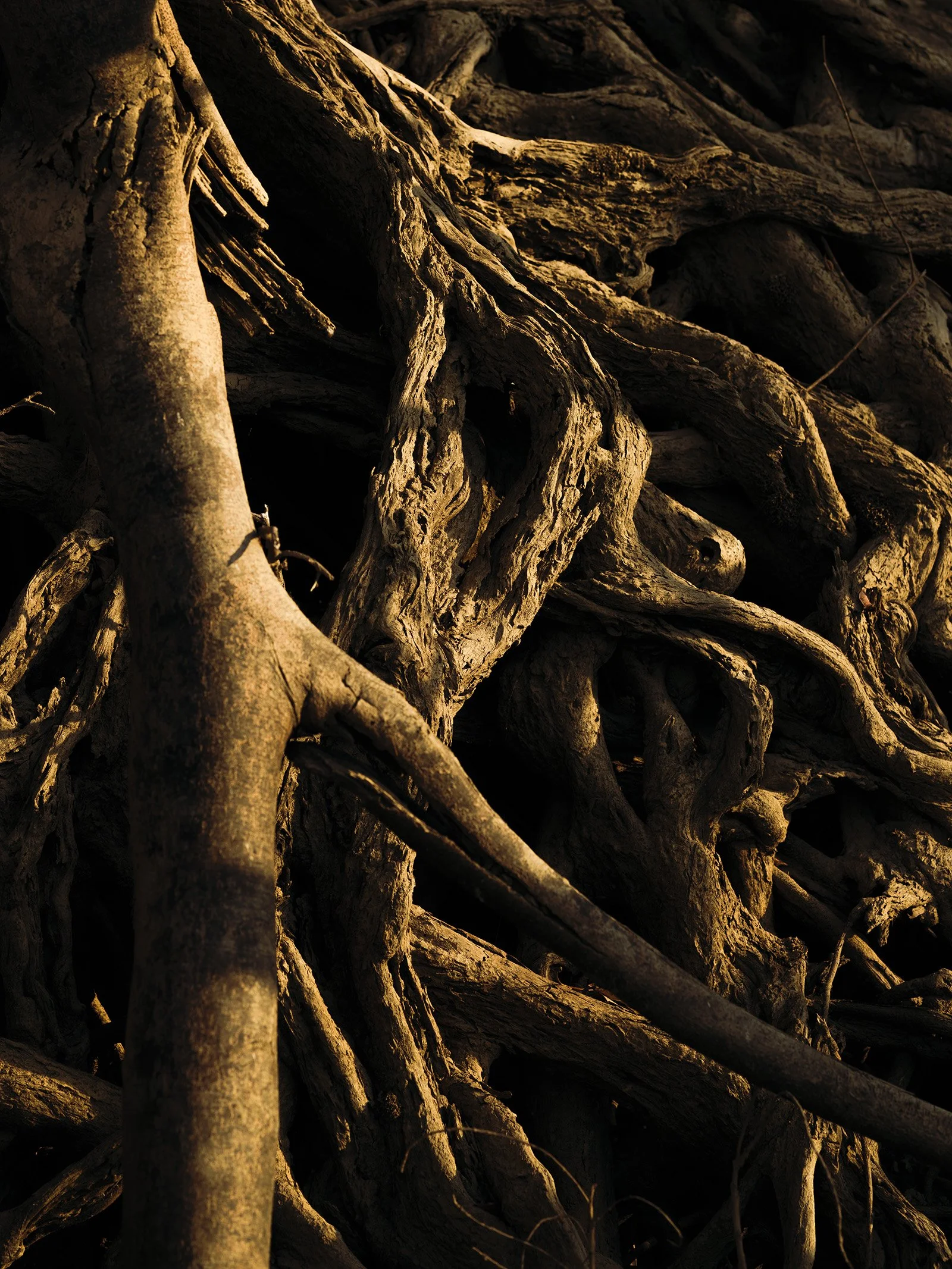 17z - B0037375-re.jpg