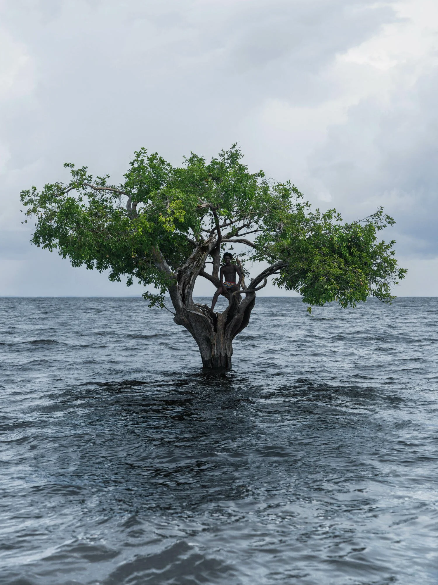 A person sitting on a large tree that is growing in the water, with a cloudy sky and ocean in the background.