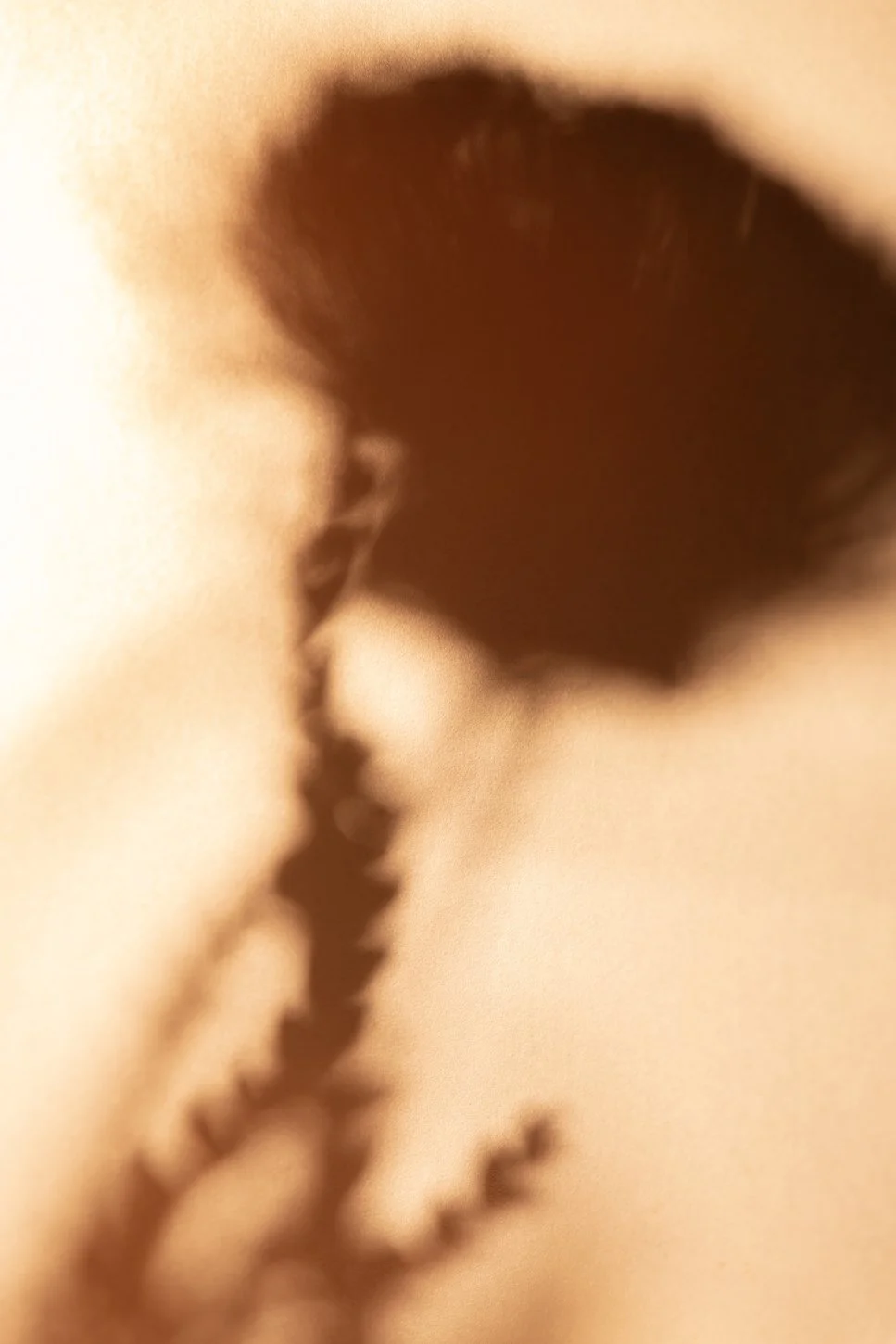 Donsje studio06093 - R.jpg