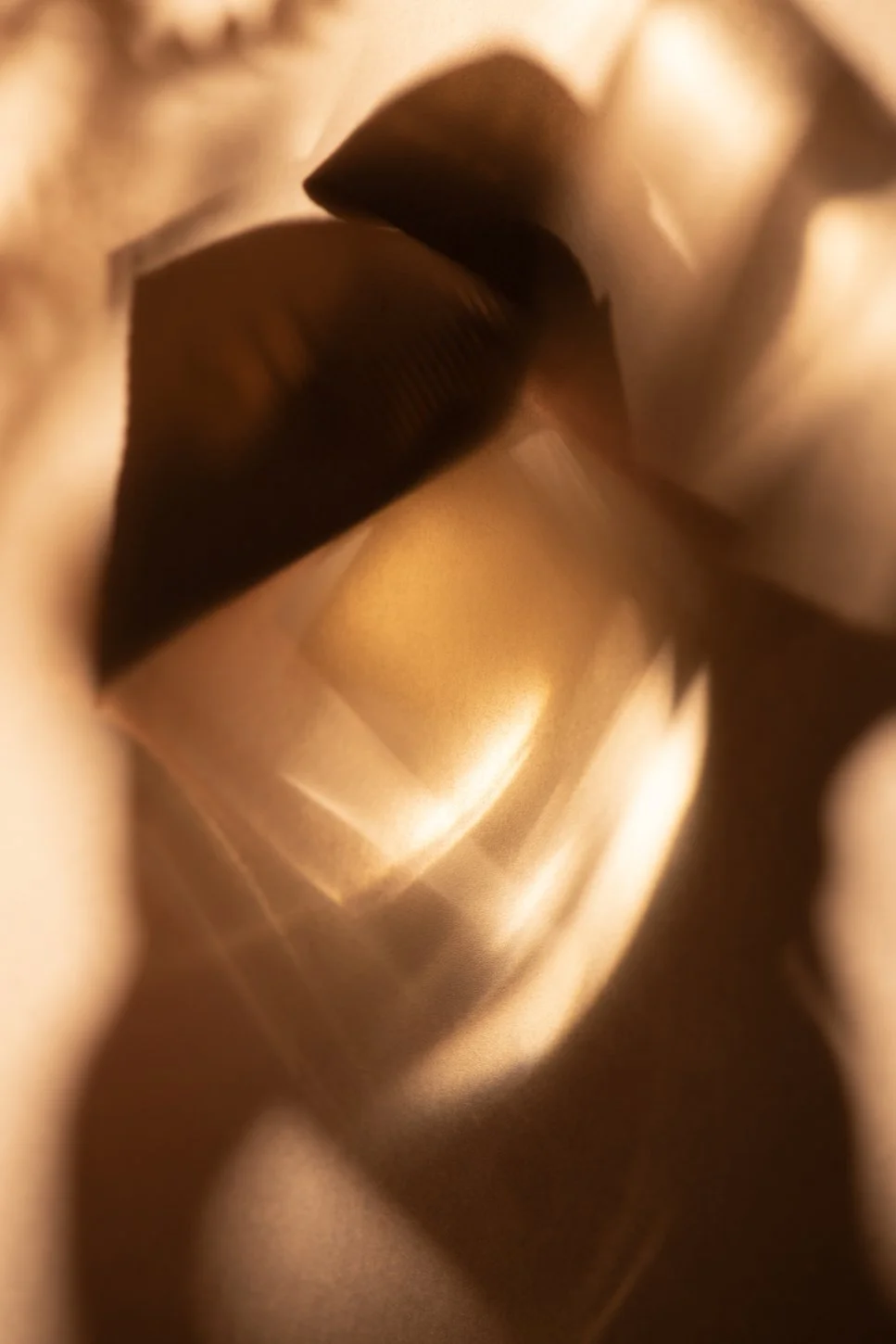 Donsje studio06098 - LR.jpg