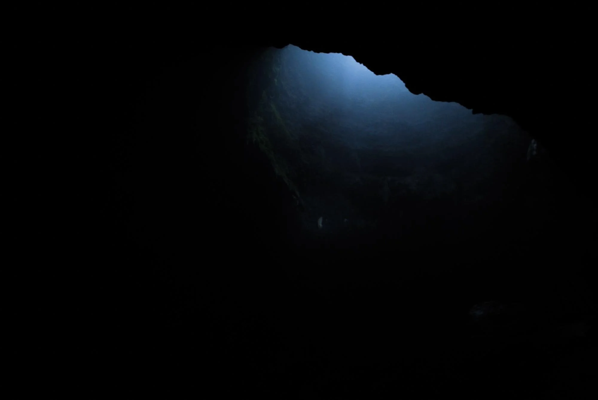 Anouk-Wirtz-Art-Direction-Luxury-Fashion