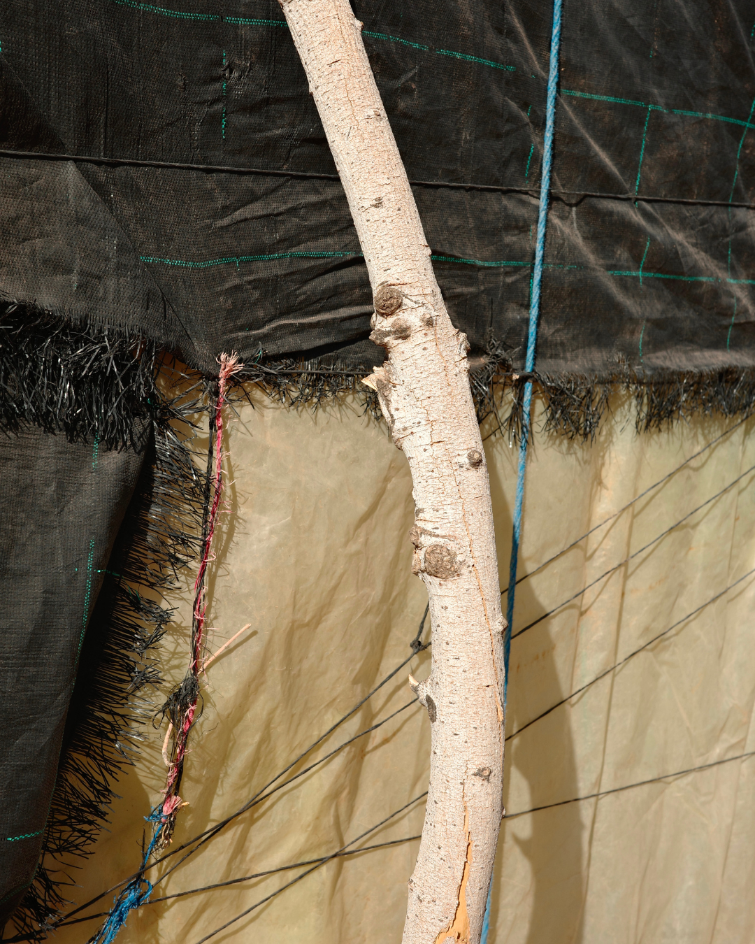 Anouk-Wirtz-Art-Direction-Luxury-Fashion