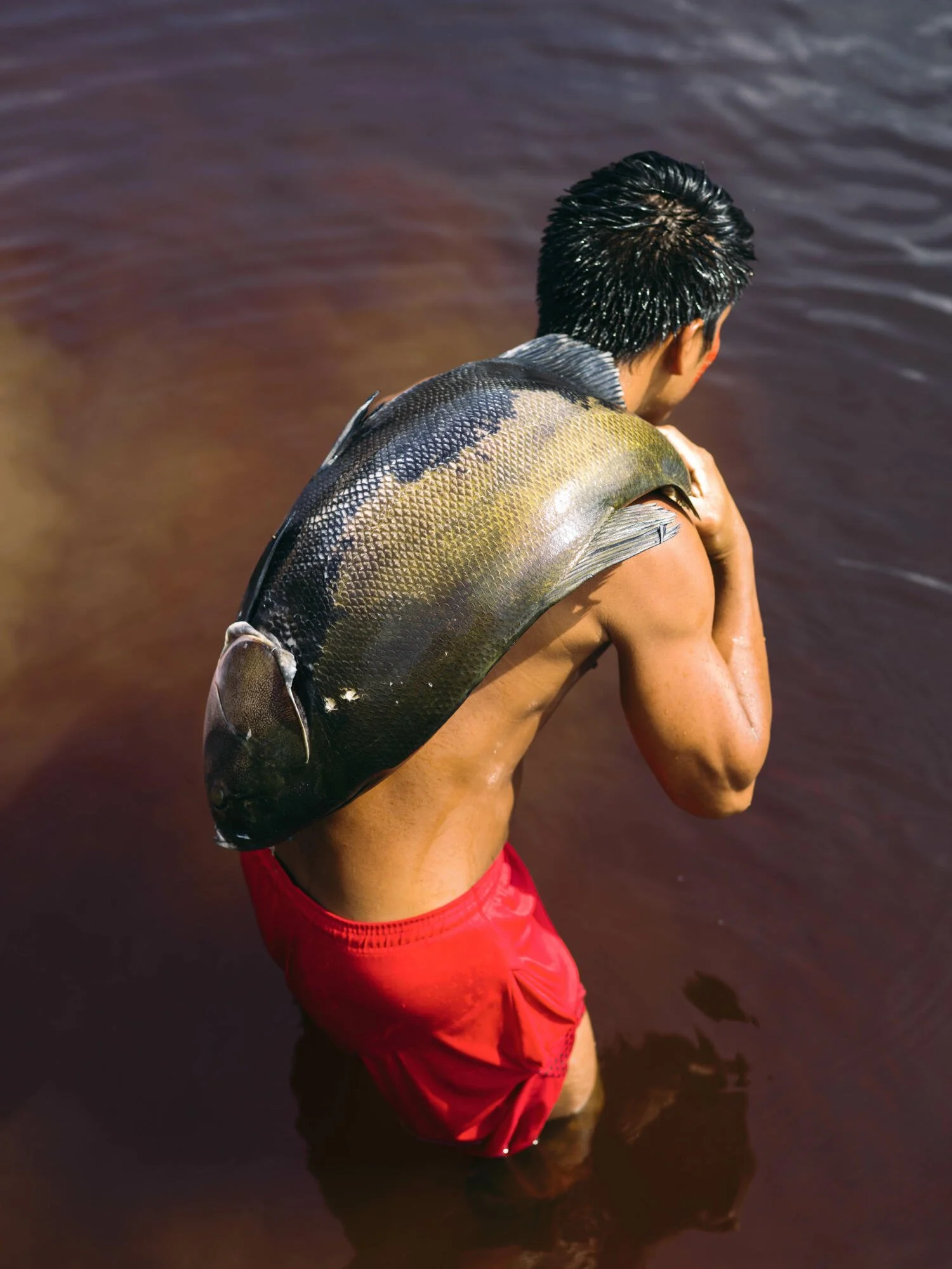 A man with dark wet hair, wearing red shorts, holding a large fish on his back, standing in muddy water, with only his upper back and head visible.