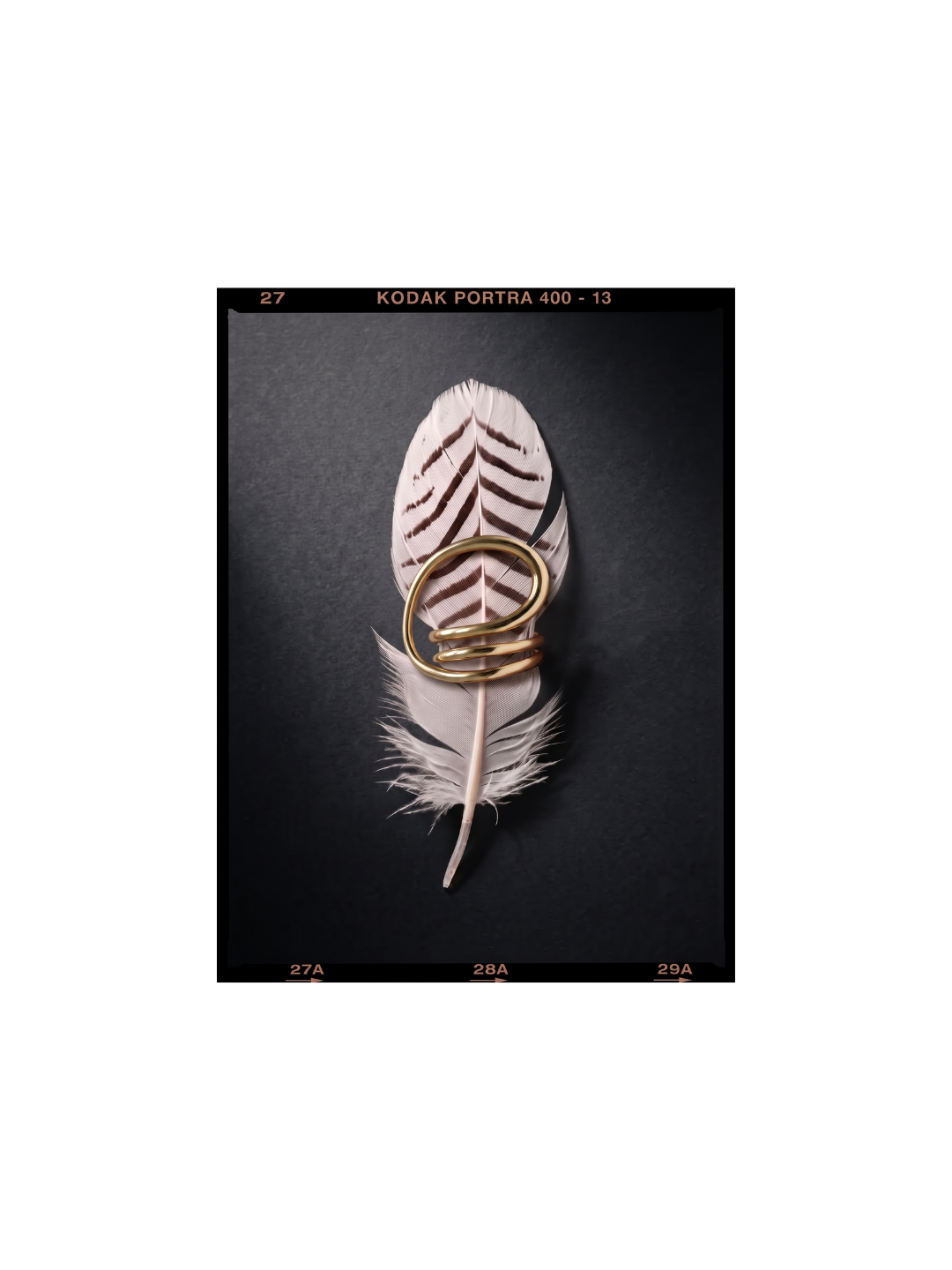 A small decorative feather with brown and white stripes, adorned with a spiral gold wire ring.