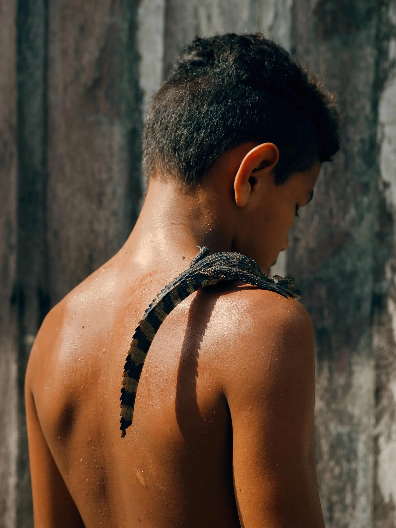 A person with short dark hair and tan skin has their back turned to the camera, with a snake slithering on their shoulder, against a blurred wooden background.