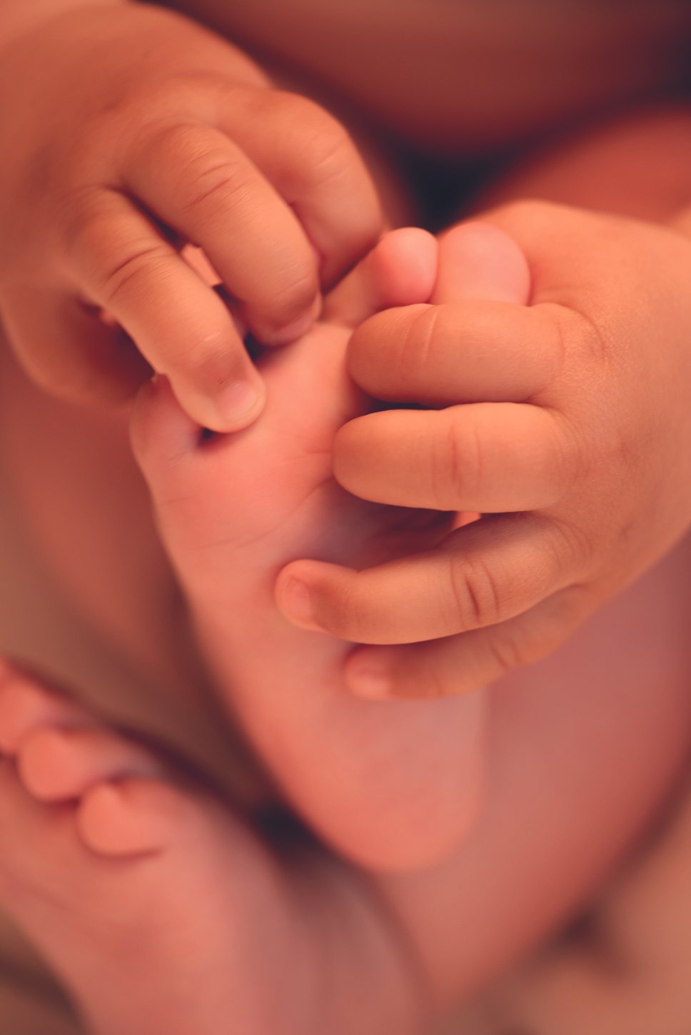 Donsje Care - 2505 - LR - 0053.jpg