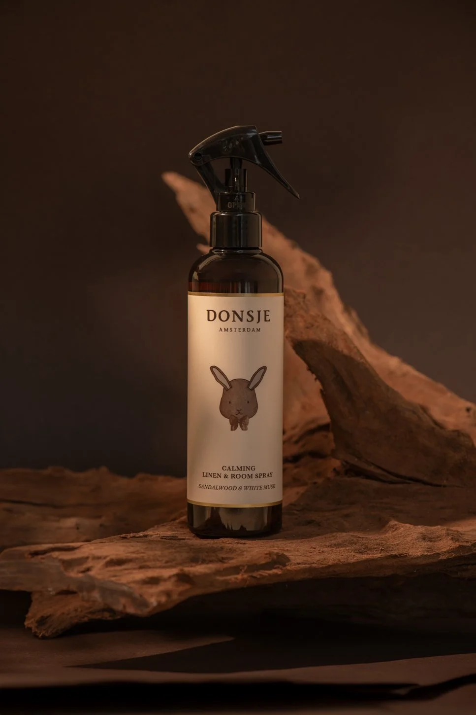 Donsje studio05292 - LR.jpg