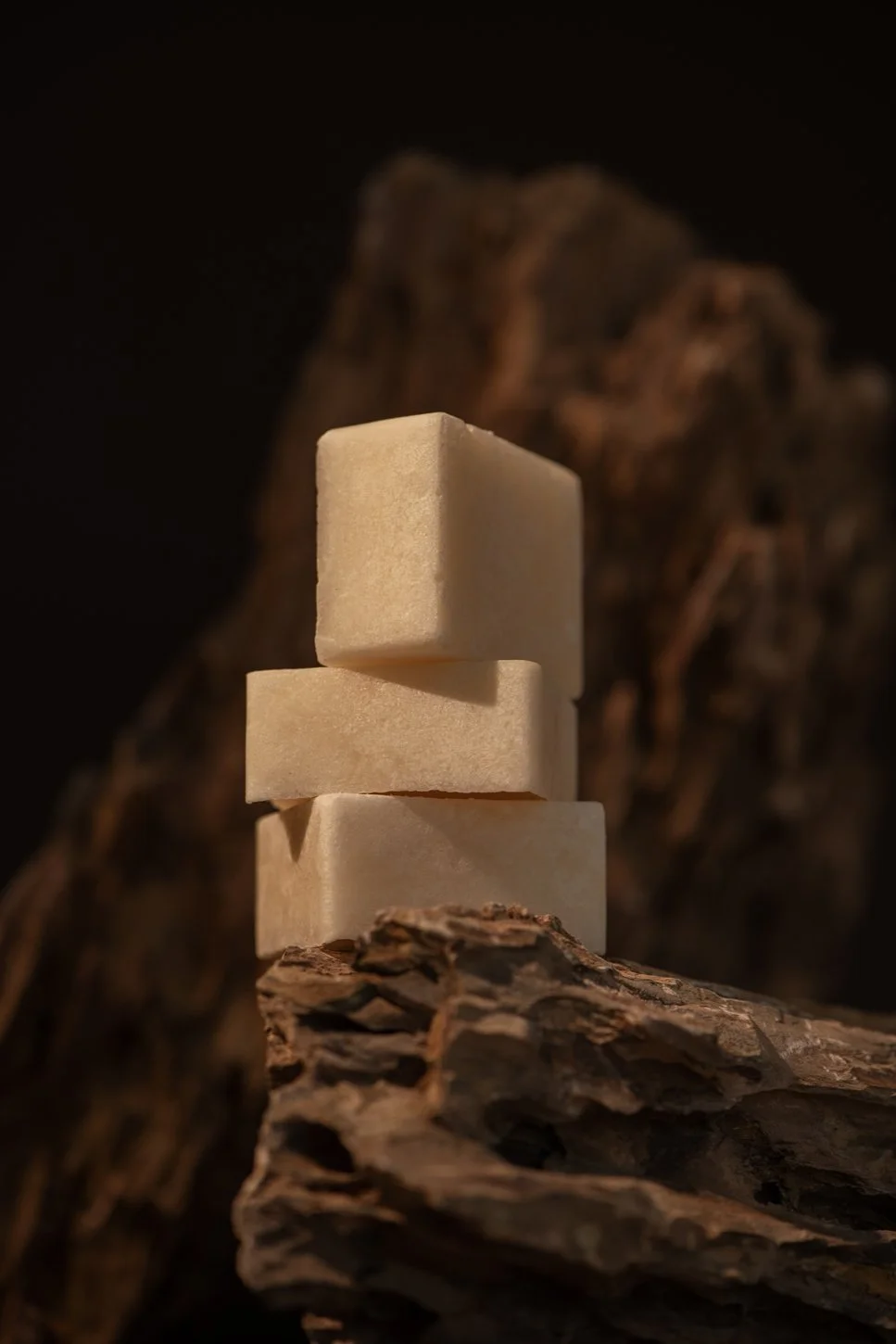 Donsje studio05325 - LR.jpg