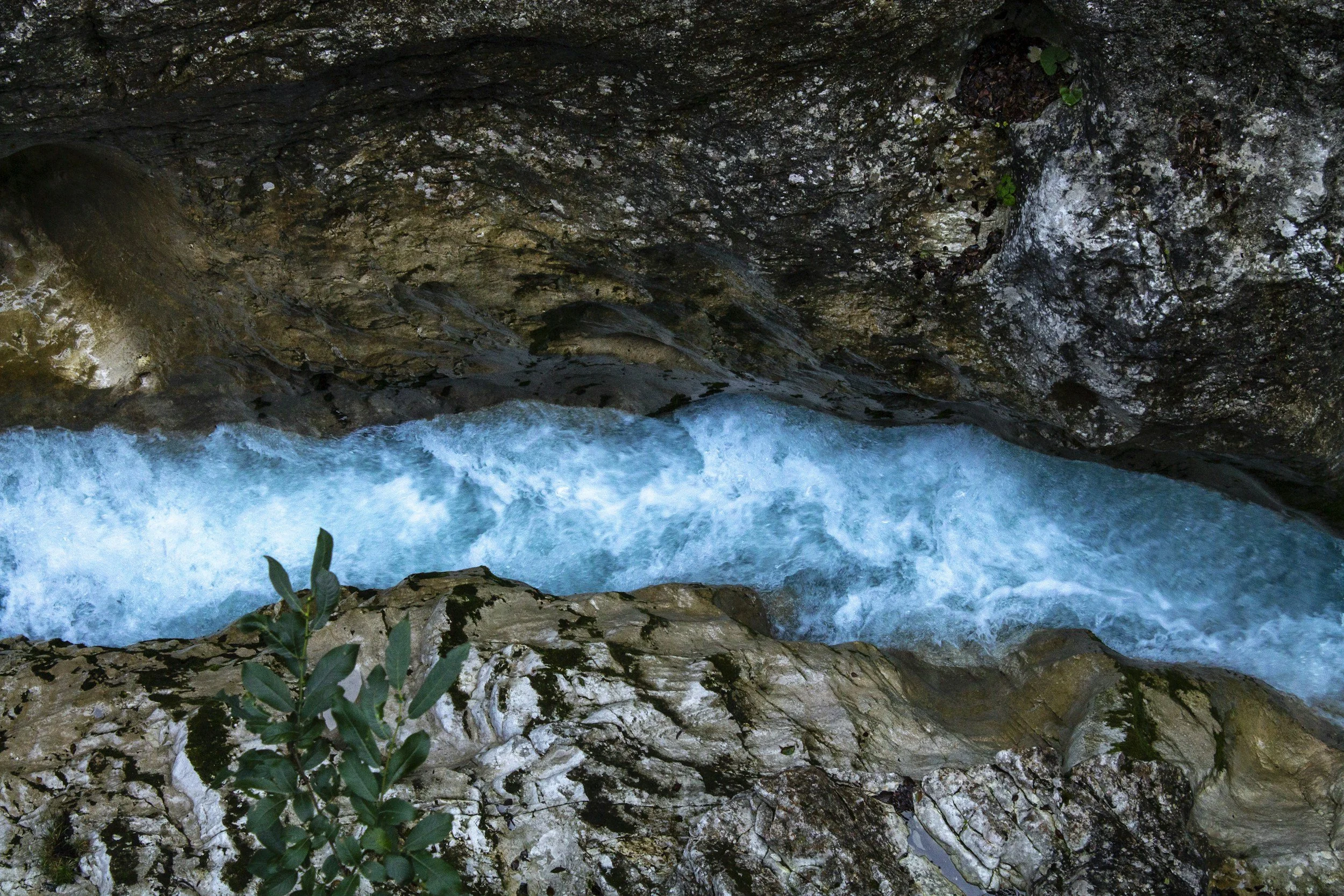 Top-down view of a mountain stream with clear blue water flowing over rocks with green plants on the rocky riverbank.