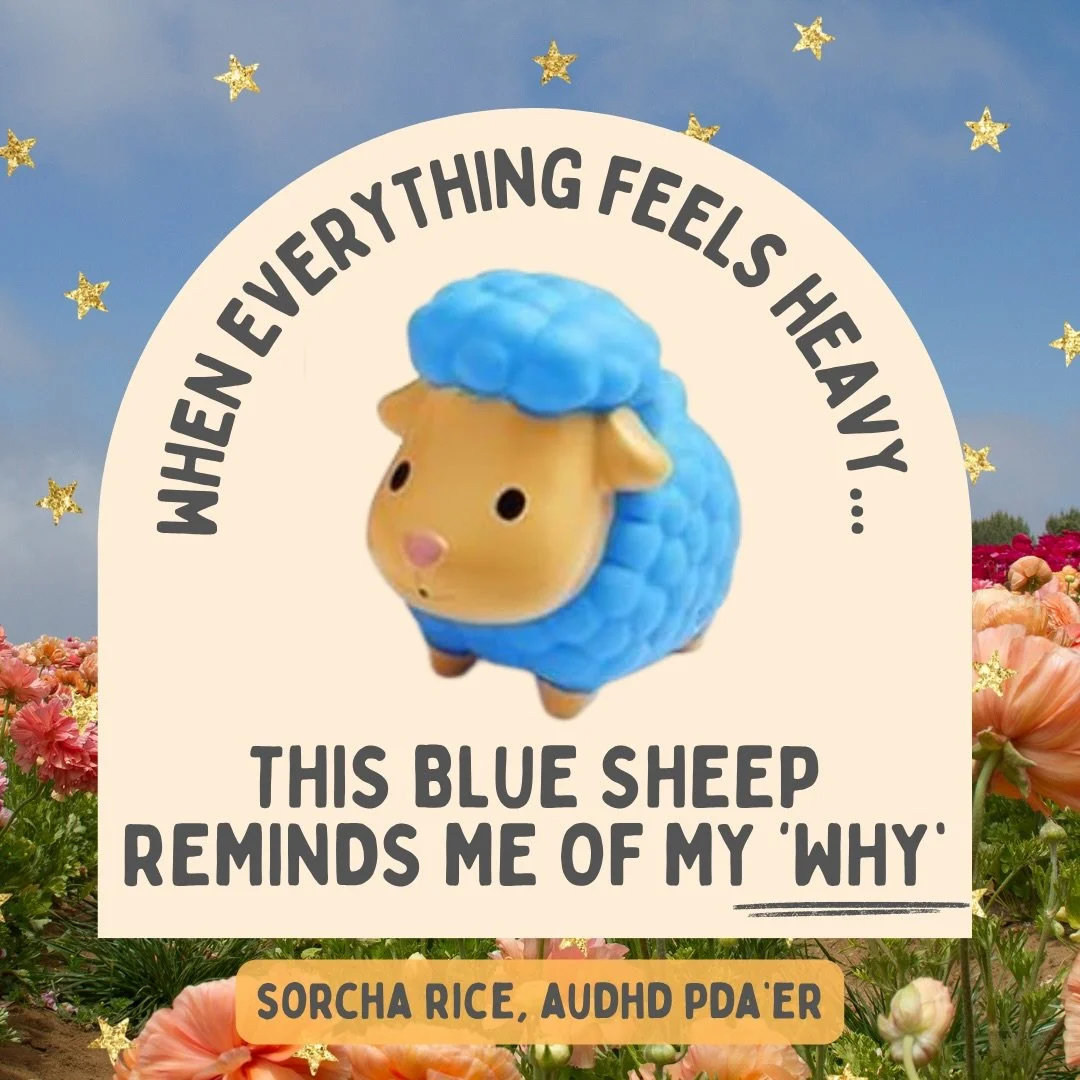The blue sheep 💙

A reminder that connection comes from shared joy, rhythm and truly seeing each other.

This is why I do what I do. Connection first, always. 

#NeurodiversityAffirming #ConnectionFirst #AutisticJoy
