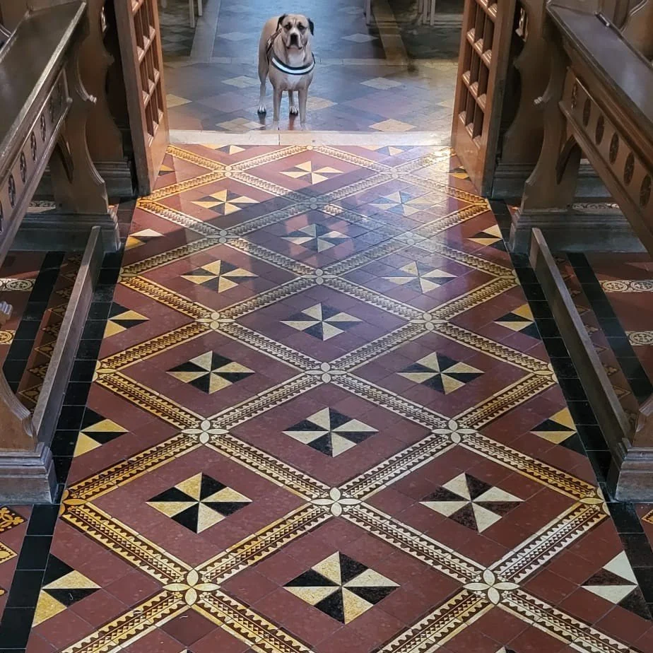 Riley,  on a long walk via a Surrey church with ornate patterned tile floors