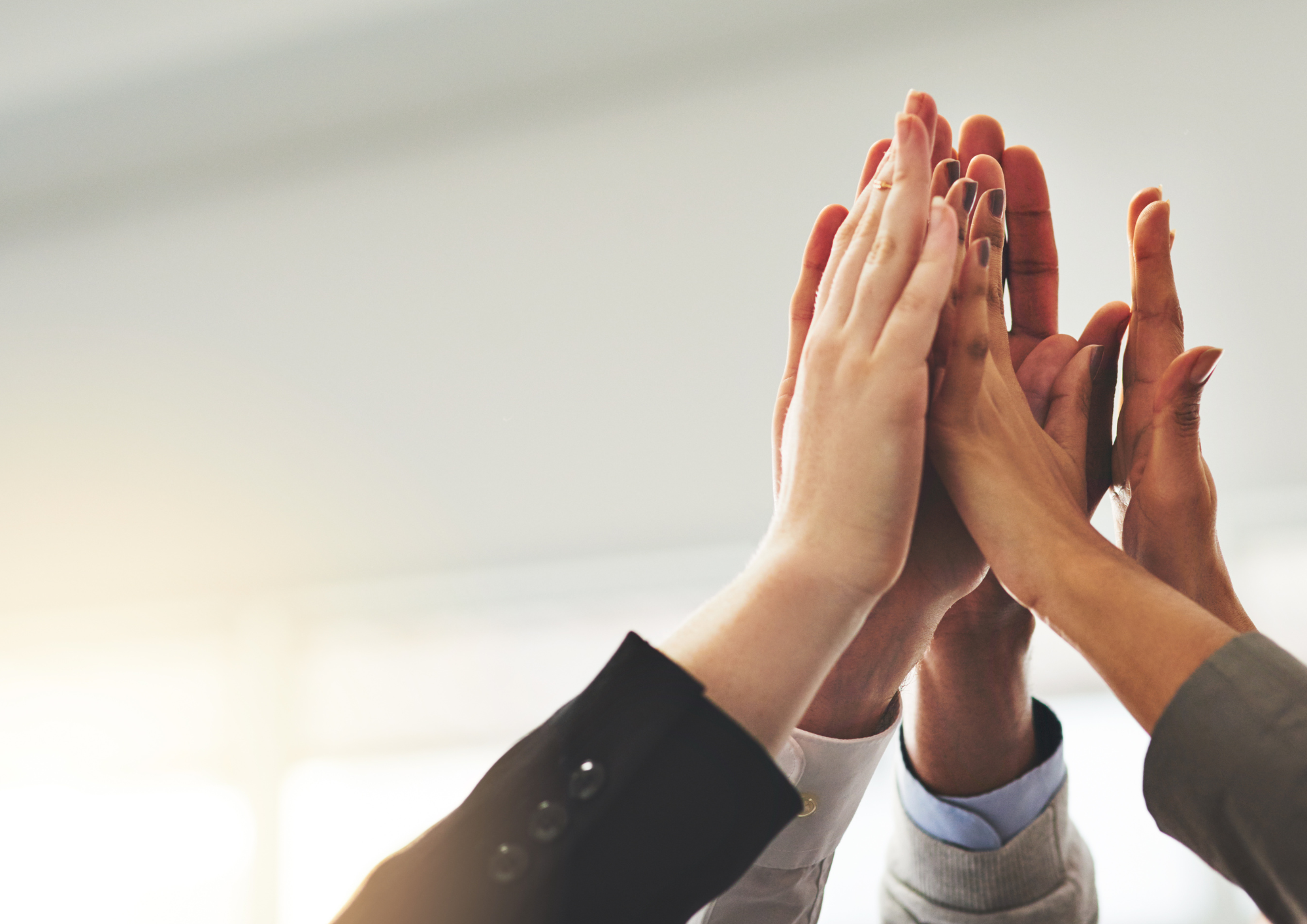 Key Highlights from 2025 and Exciting Plans for 2026