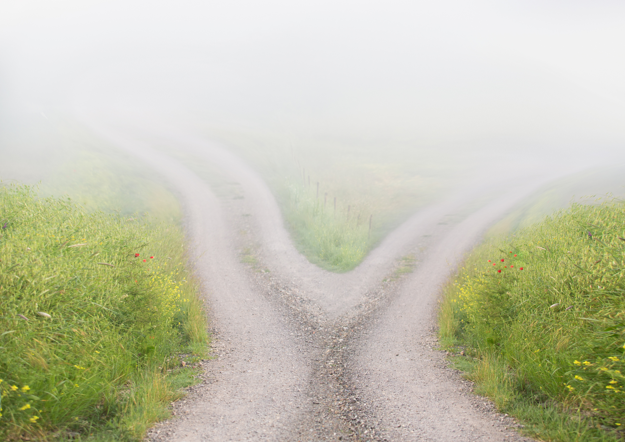 Pension Sharing Orders: How Financial Advisers Can Help