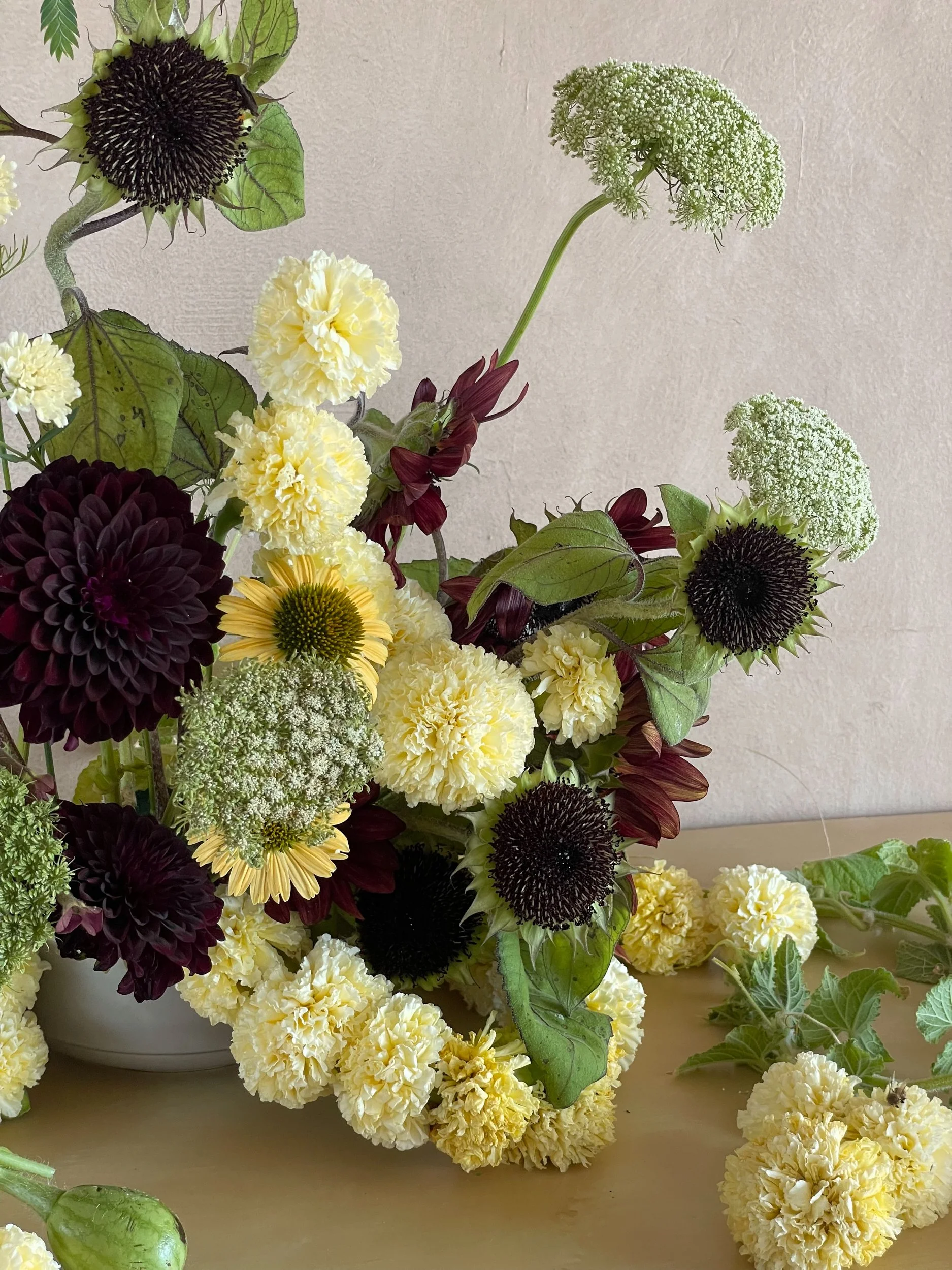 Photo 11-08-2025, 12 11 16 PM.jpg