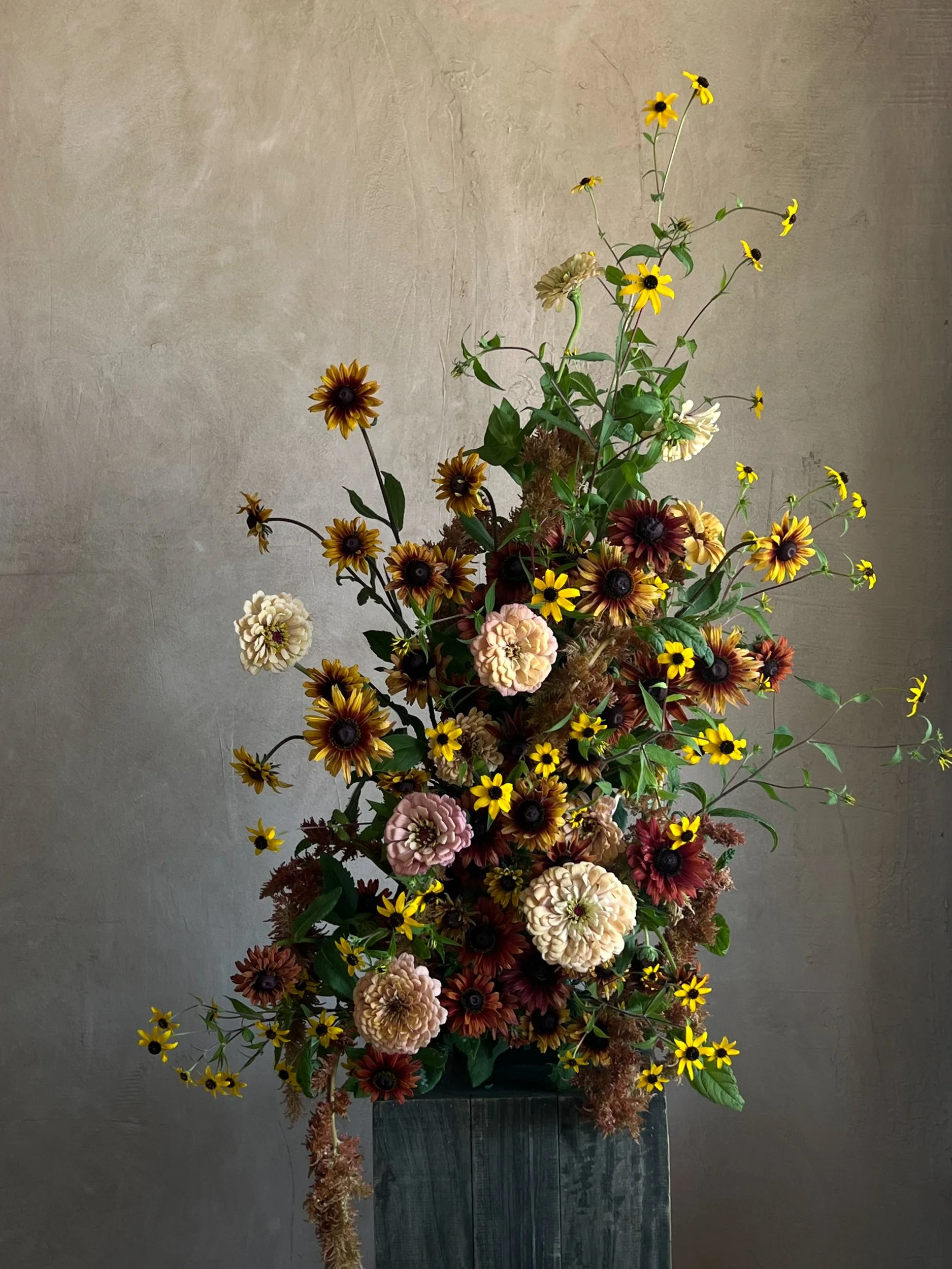 Photo 18-07-2025, 10 45 07 AM.jpg