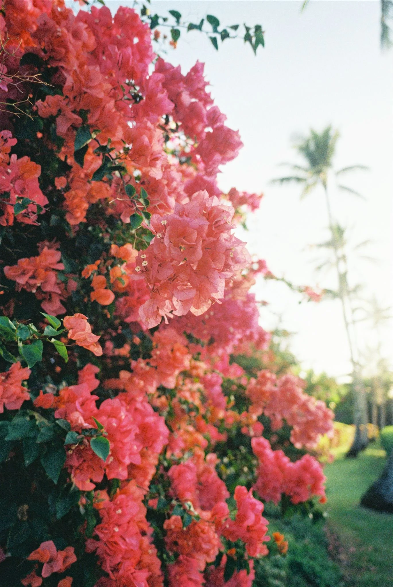 Photo 02-12-2025, 3 18 30 PM (16).jpg