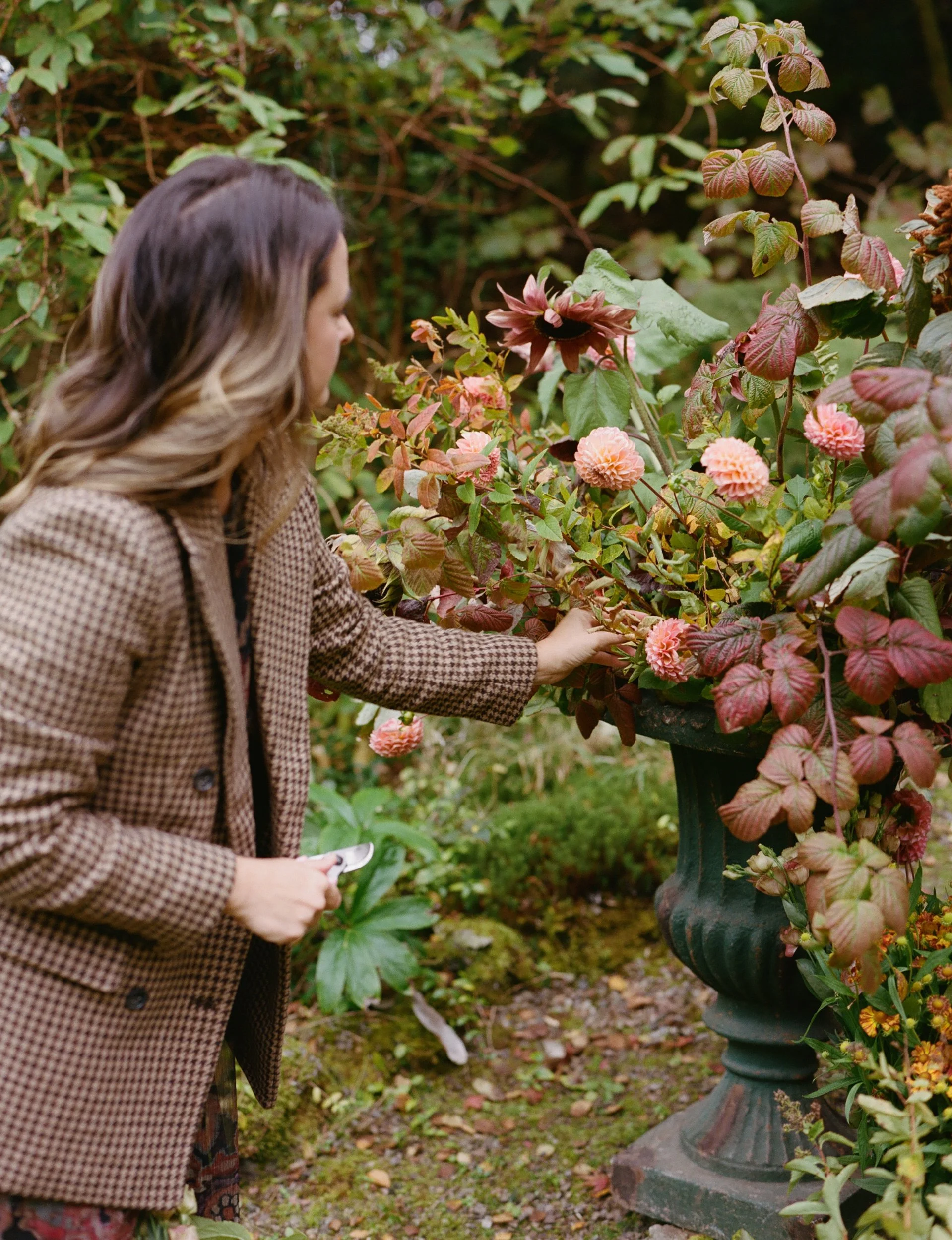 A woman in a brown checkered blazer touches pink flowers in an outdoor garden.